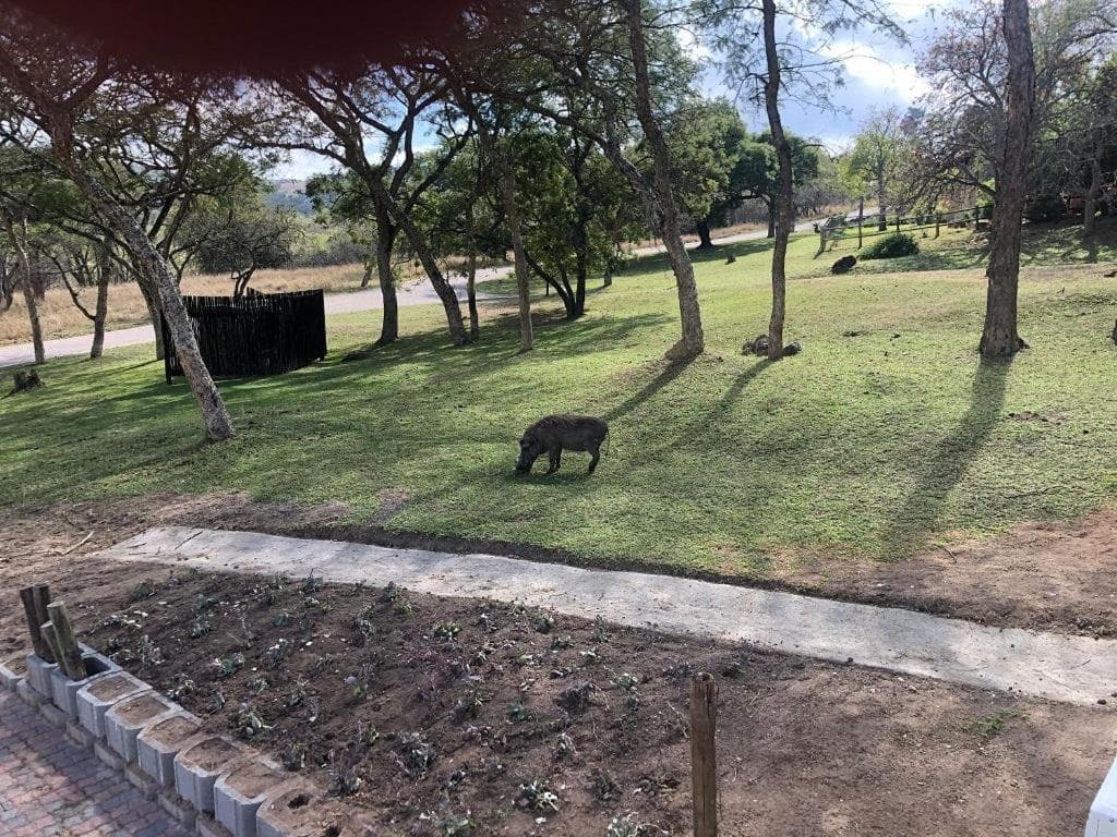 Khululeka Safaris Lodge