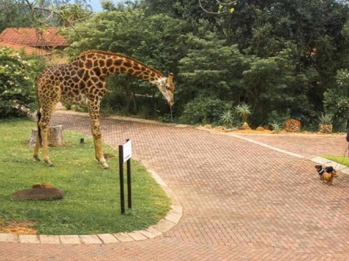 Khululeka Safaris Lodge