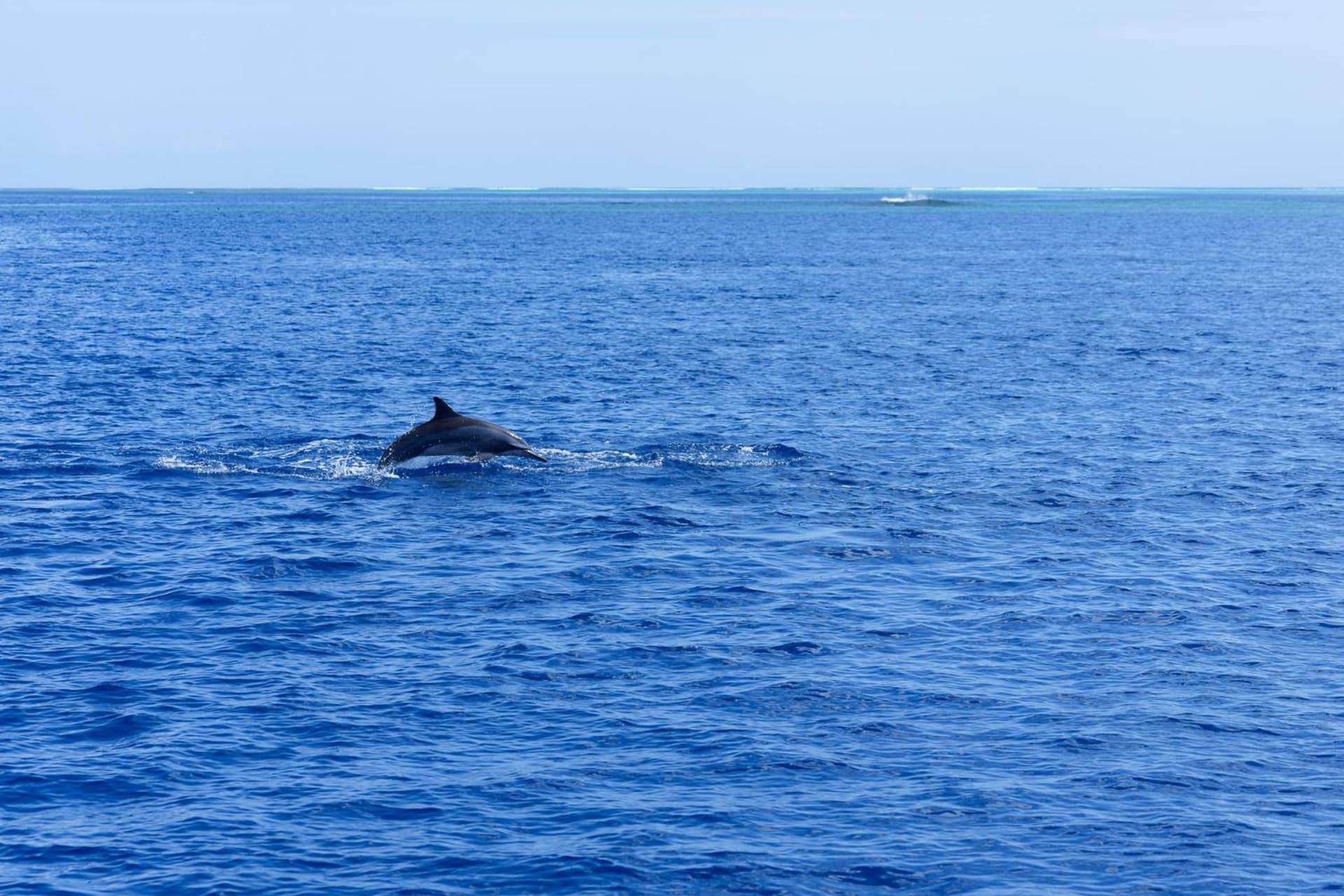 Canareef Resort Maldives