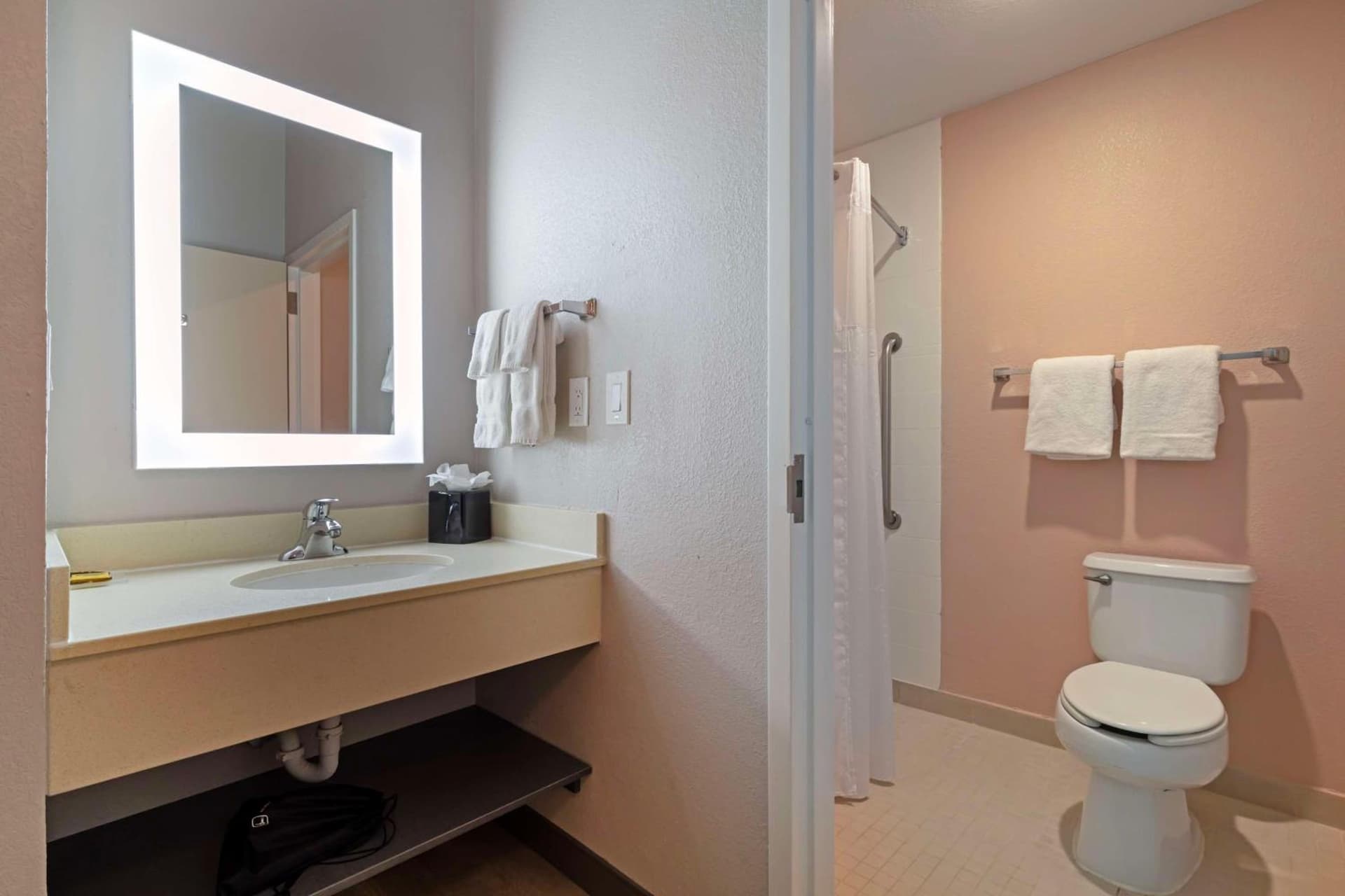 Best Western Plus Fort Worth North