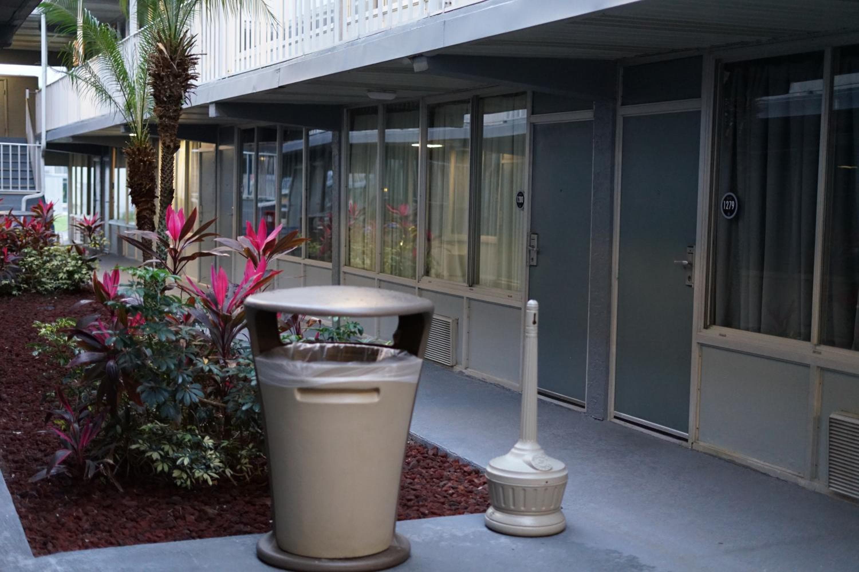 Celebration Suites