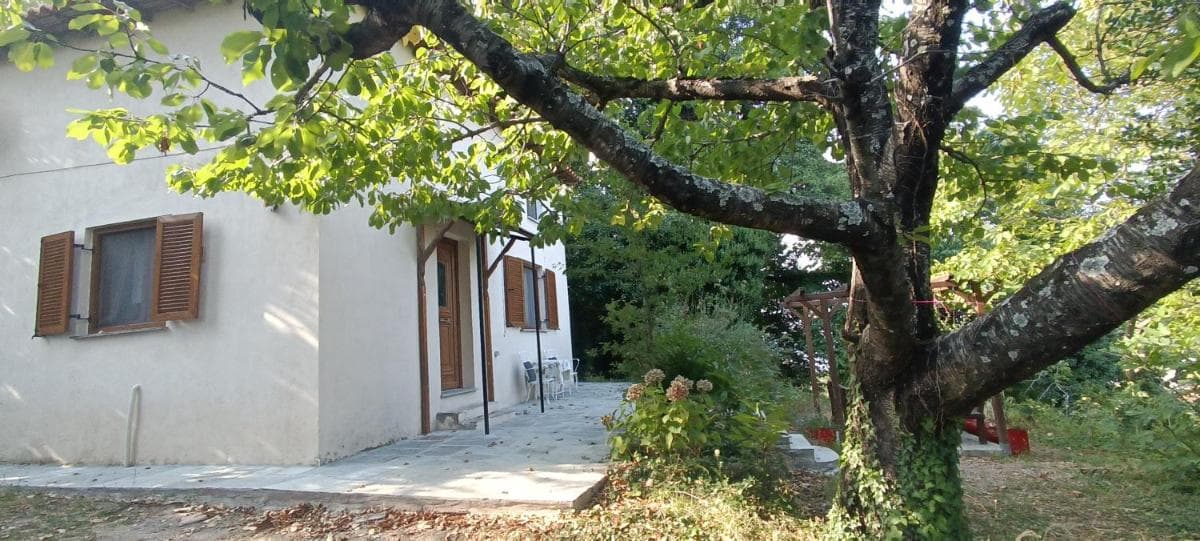 Margarita's House
