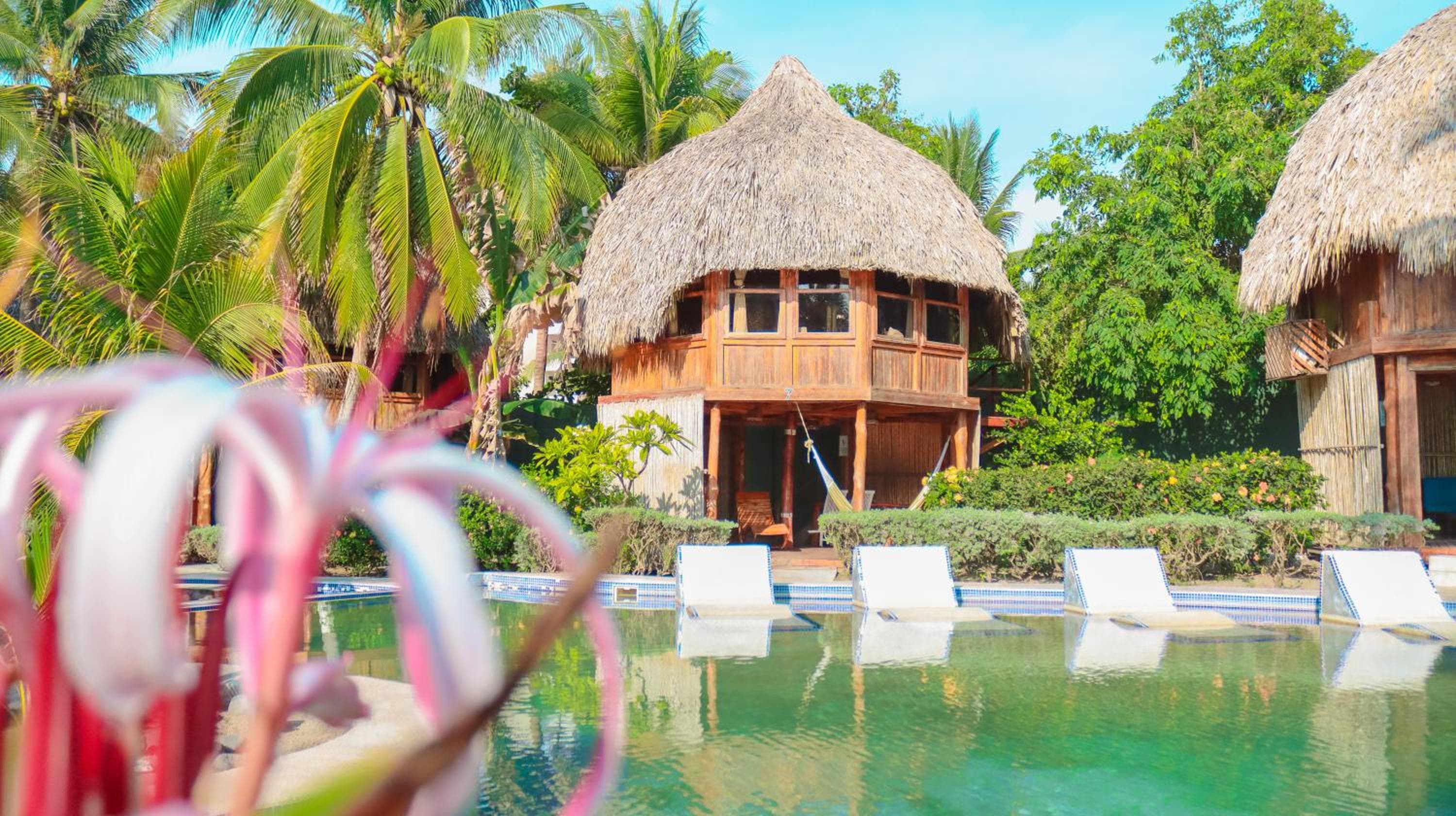 Hotel Tortuga Village