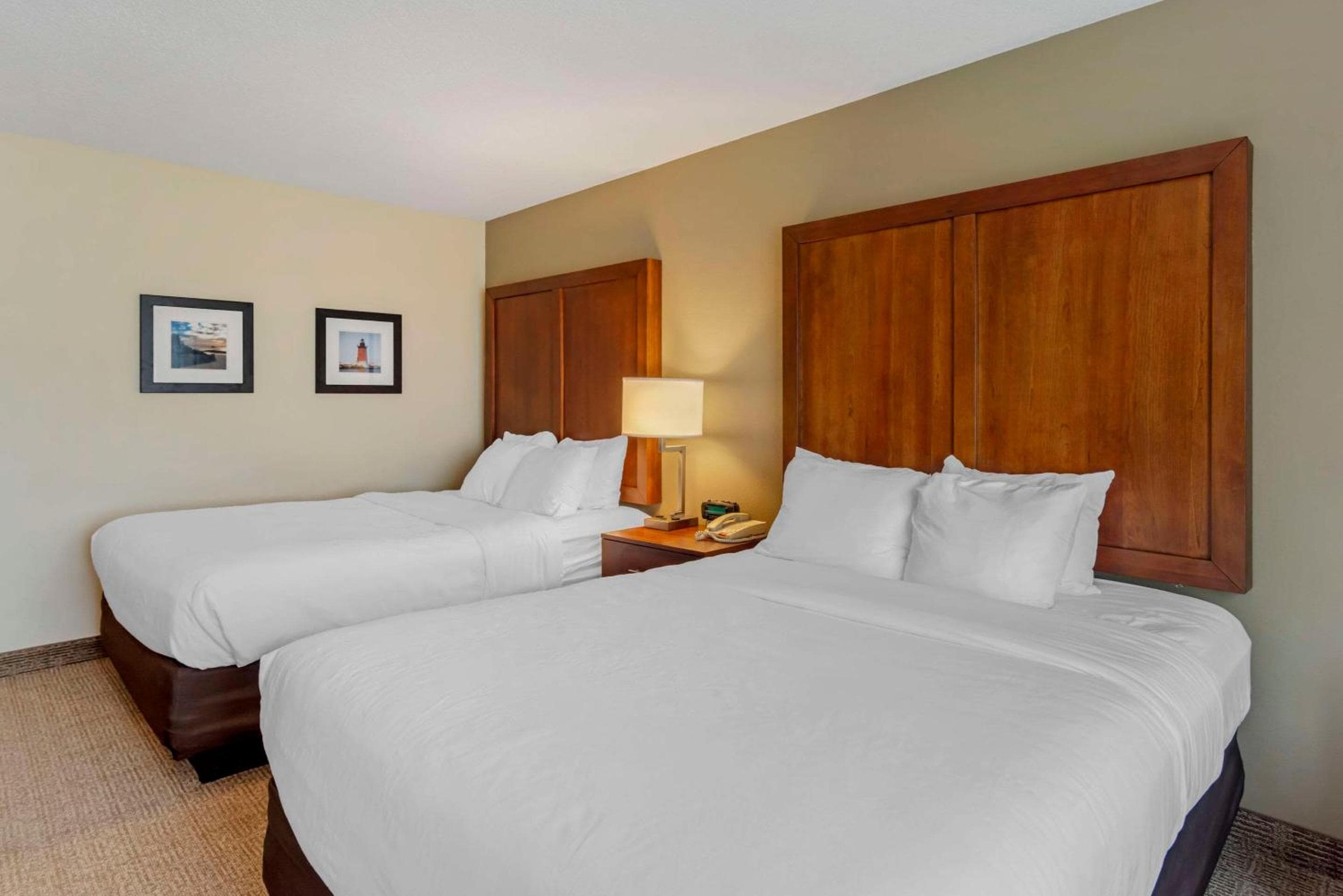 Comfort Inn & Suites Dover near Speedway