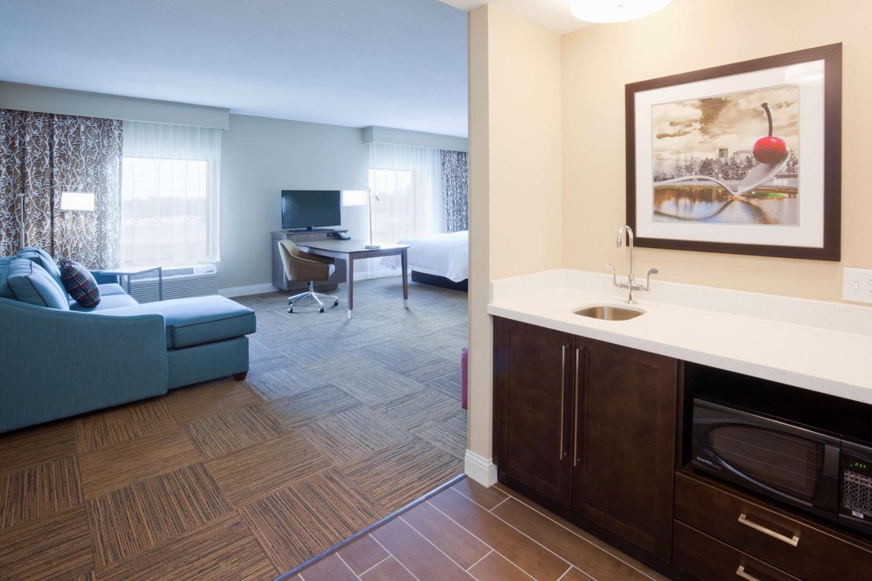 Hampton Inn Minneapolis-Roseville,MN