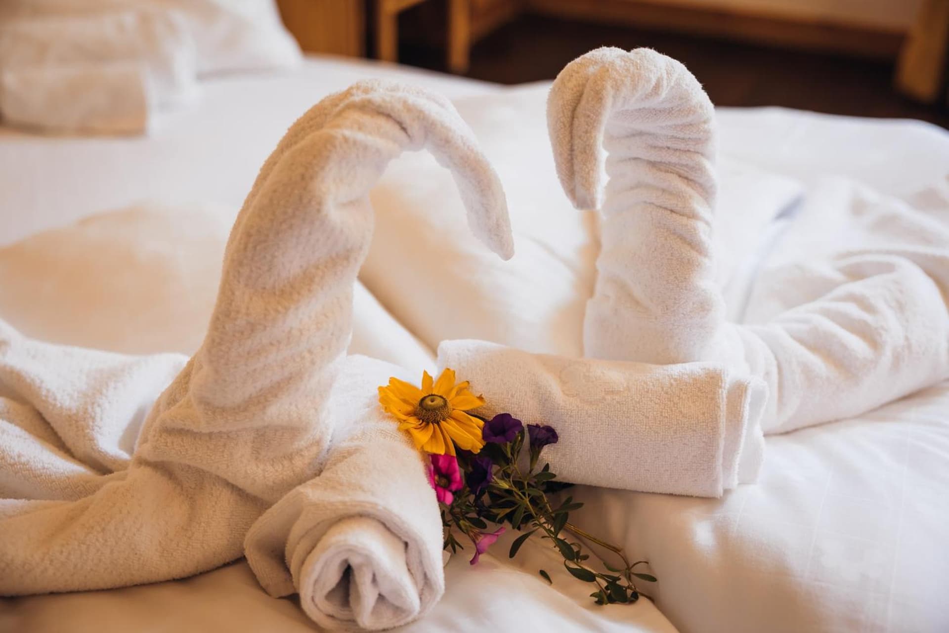 Aparthotel Maso Corto