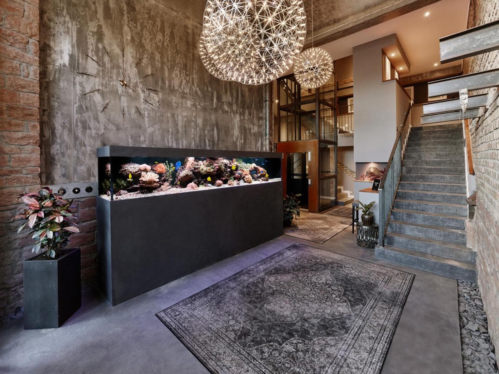recepcion & lobby