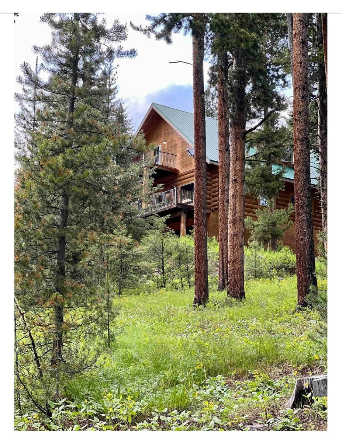 Cerul Mare Cabin