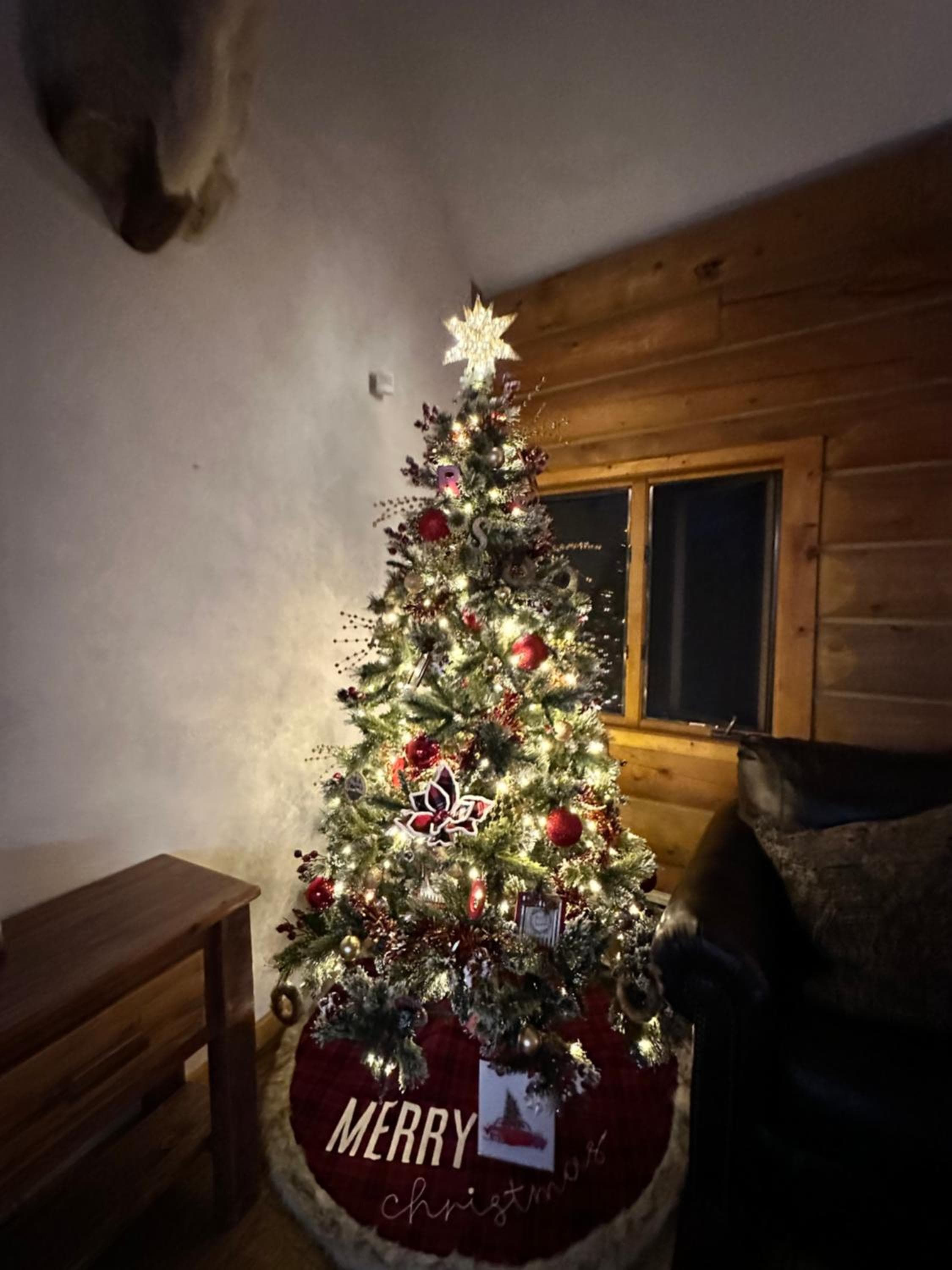 Cerul Mare Cabin