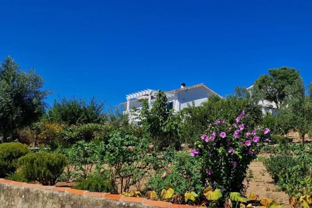 Casa Grande Abrunheiro Grande