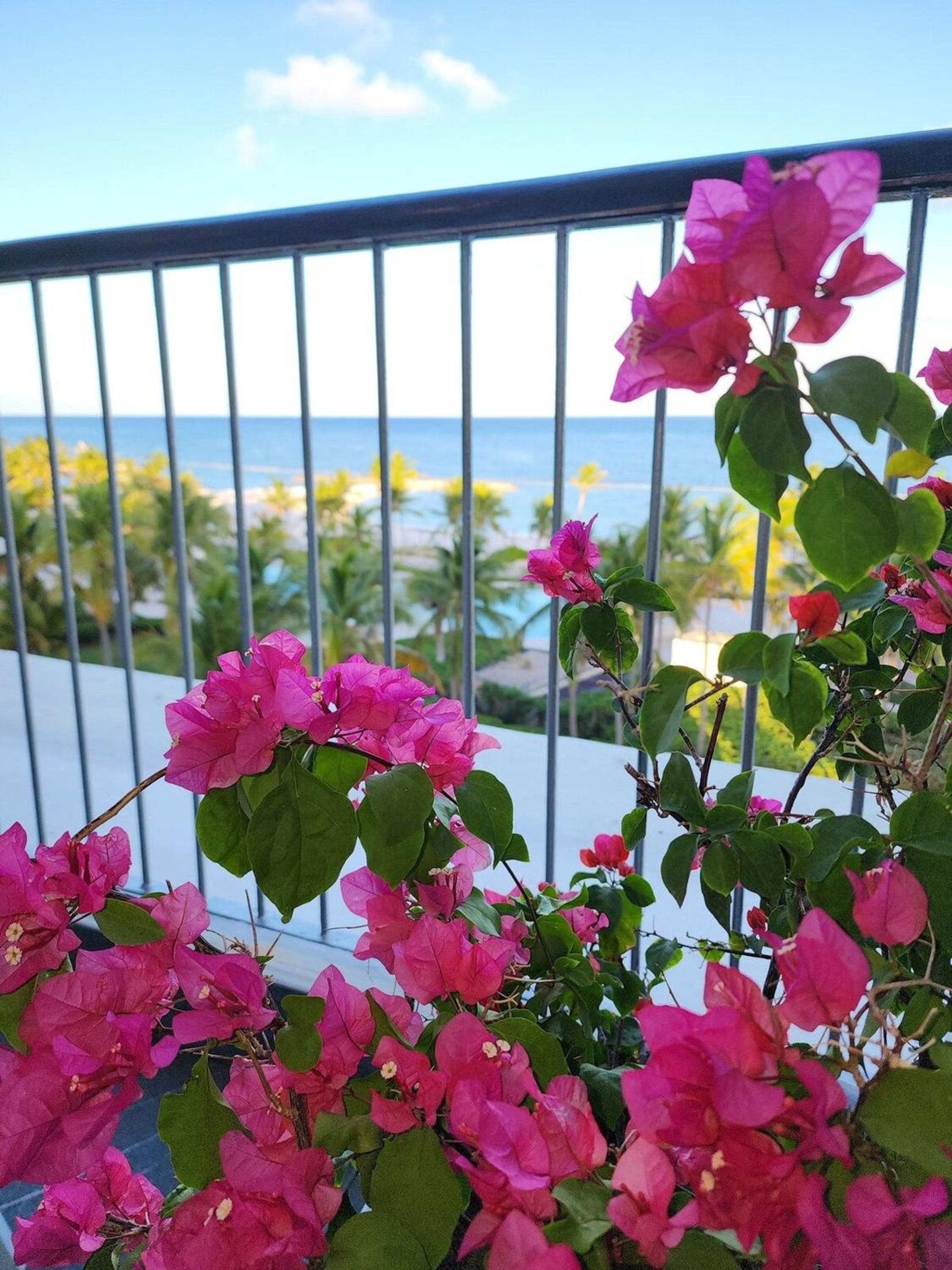 Exclusive beach front apartments in Aquamarina, Cap Cana