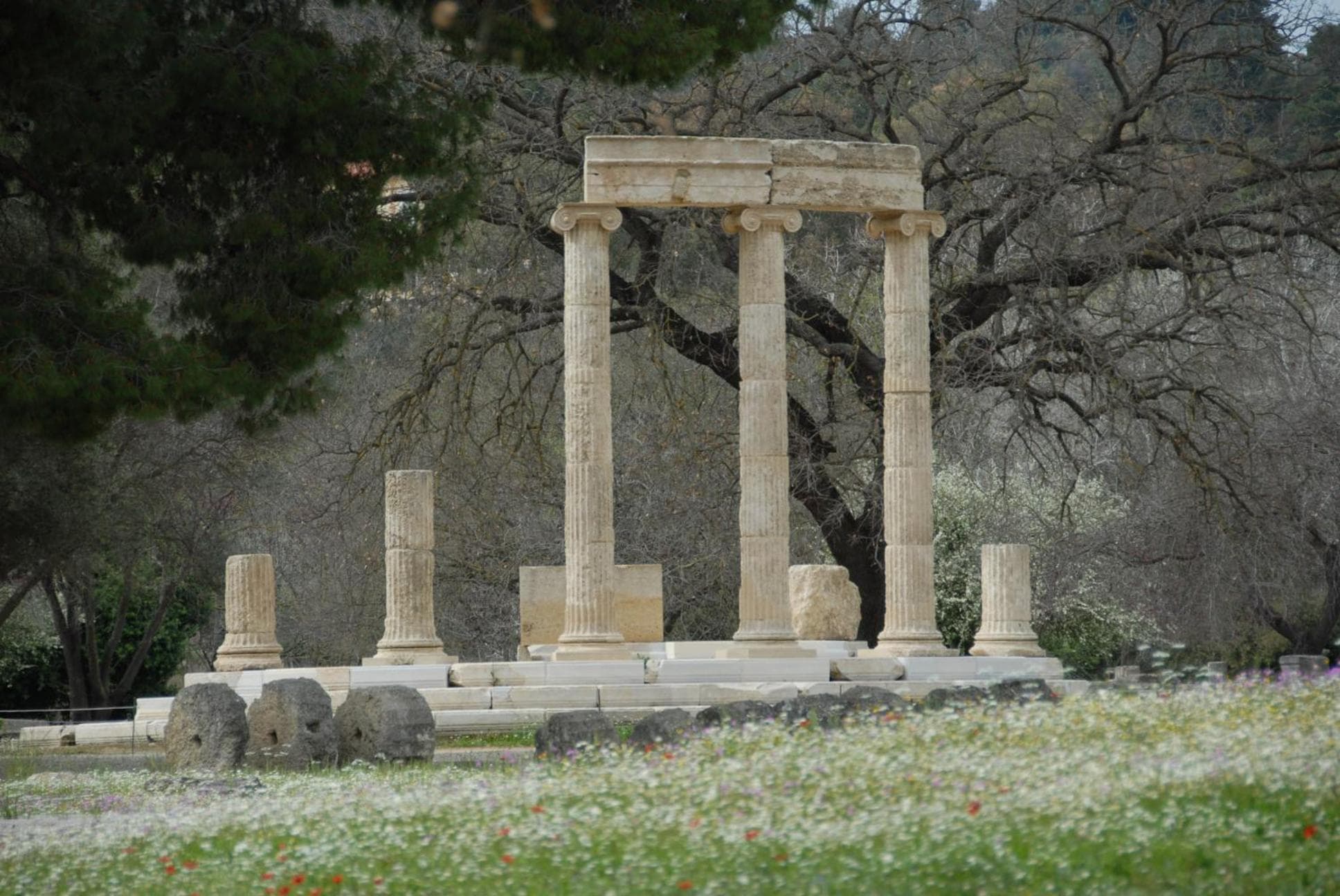 Fotis Rooms