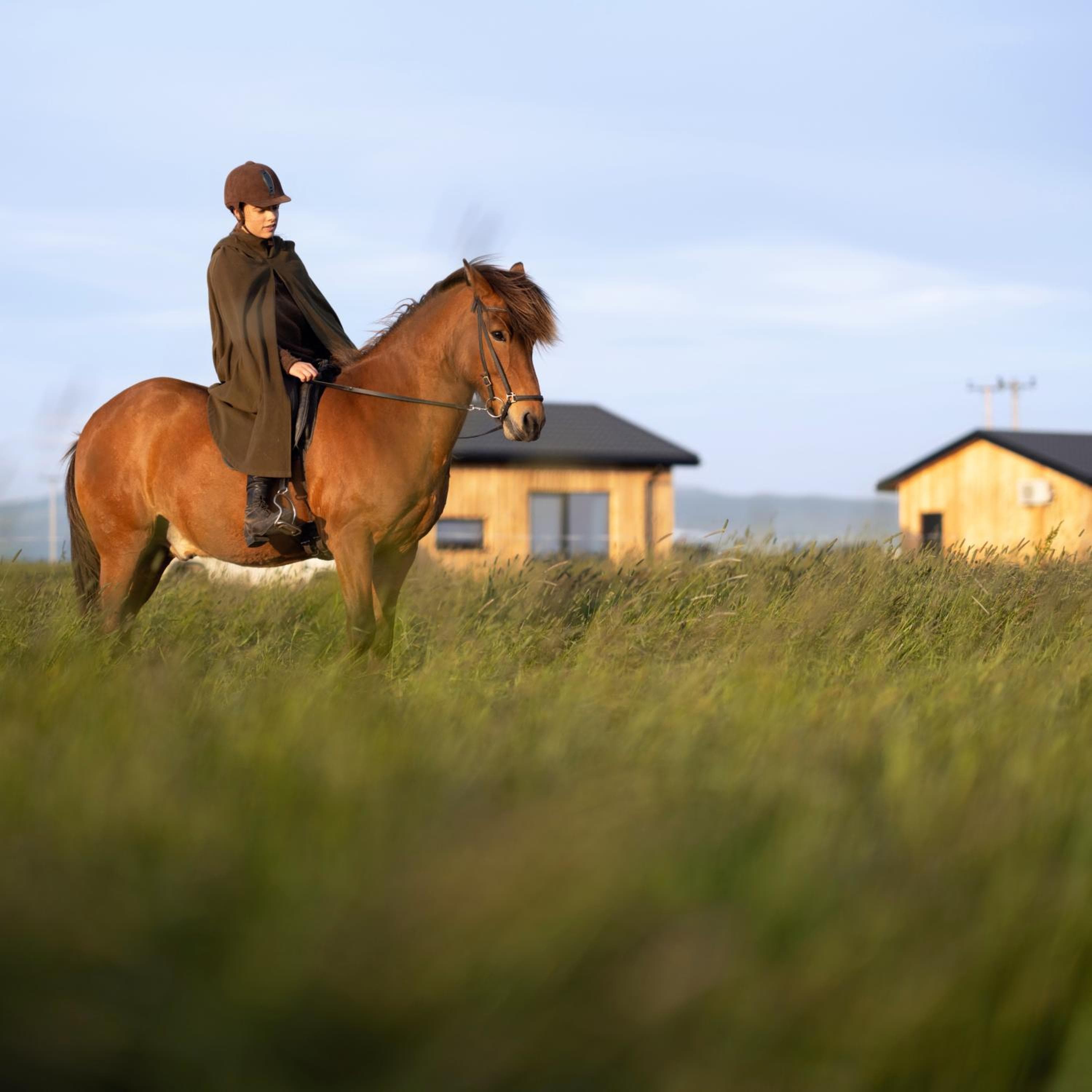 Sleeping with the Horses