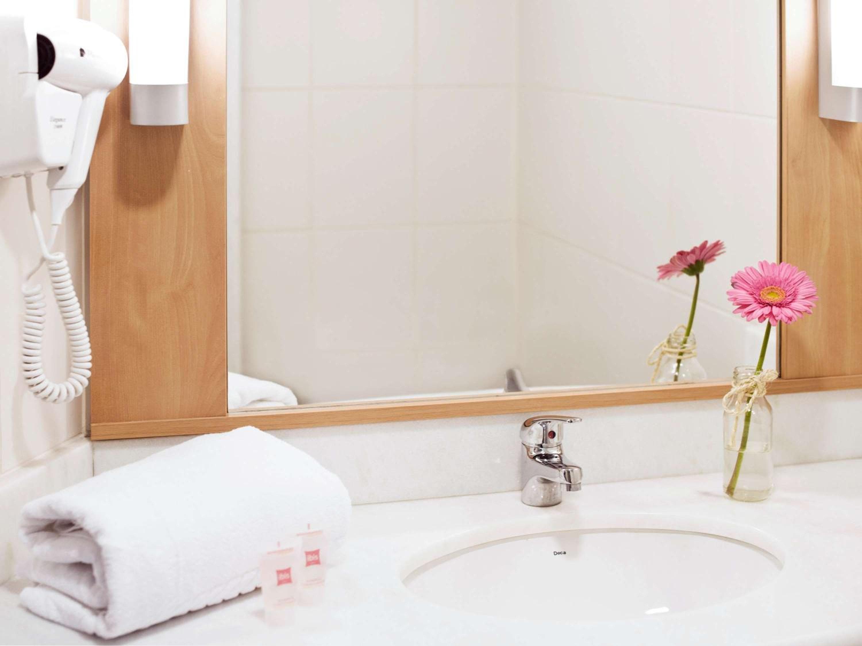 ibis Novo Hamburgo