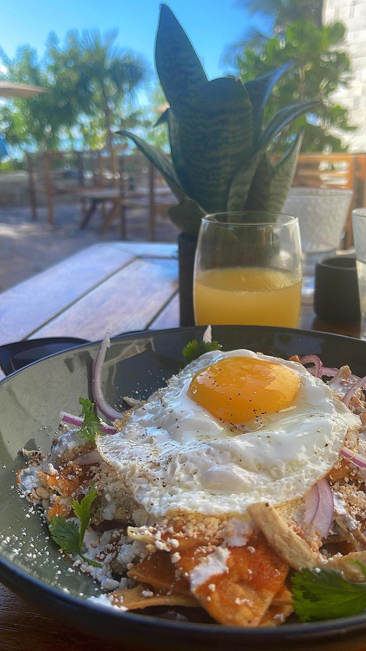 Alea Tulum