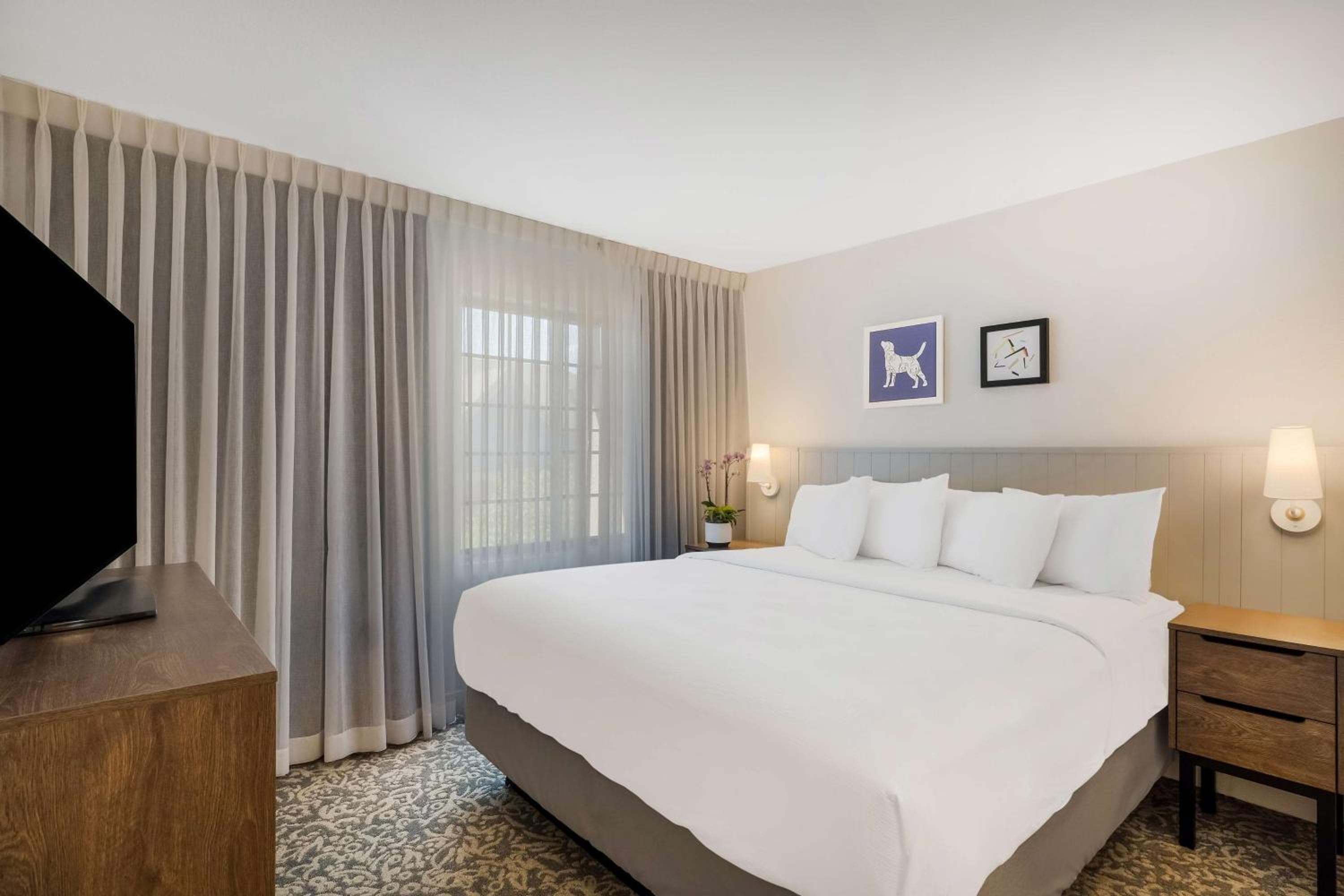 Sonesta ES Suites Denver South Park Meadows