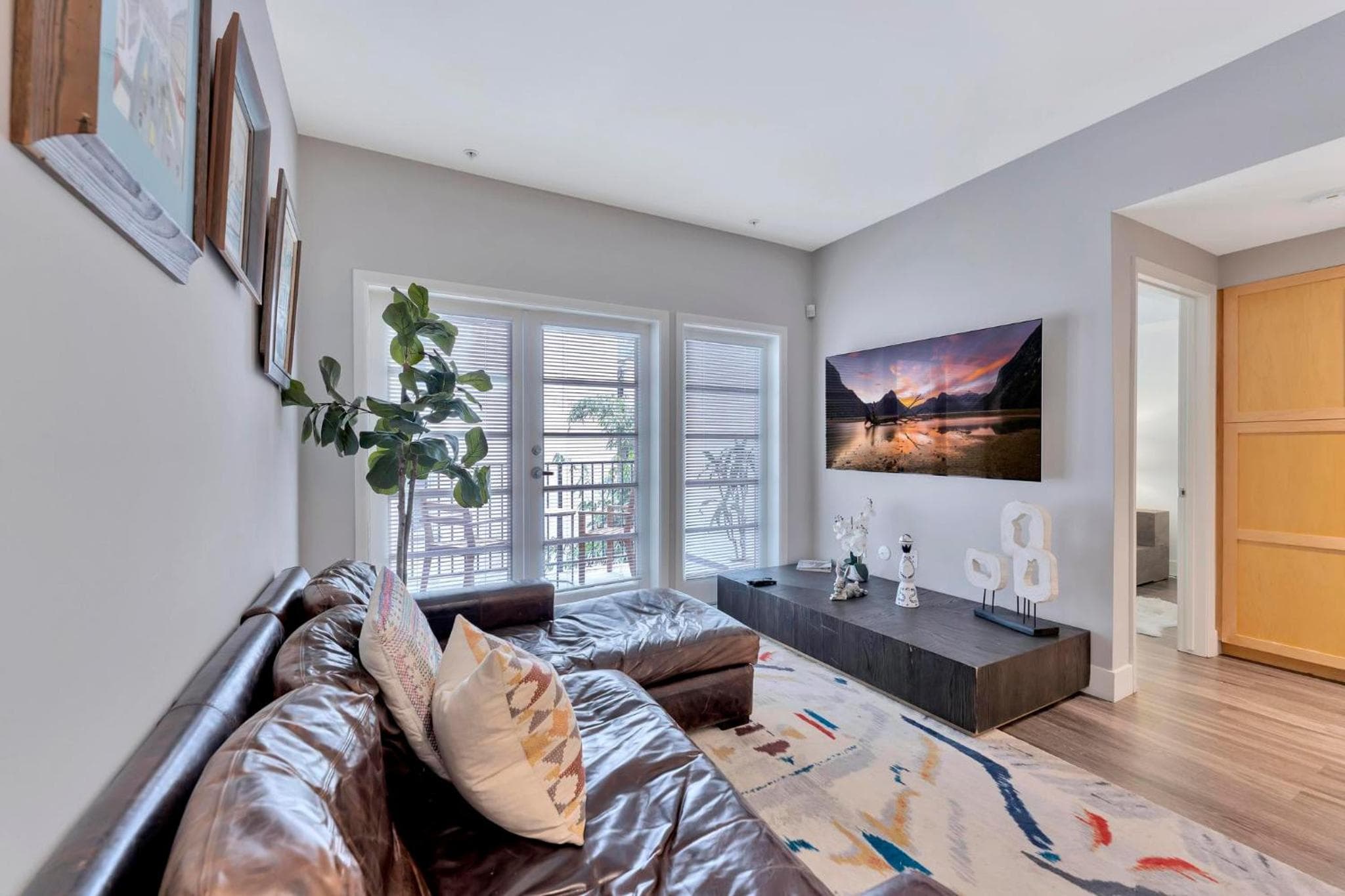 1 Luxury Apartment