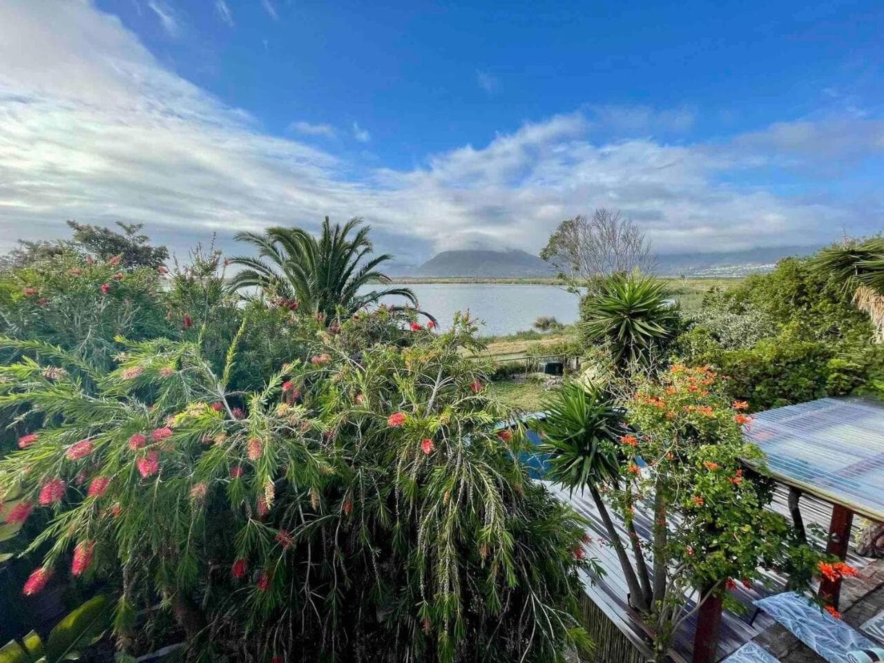 Flamingo View
