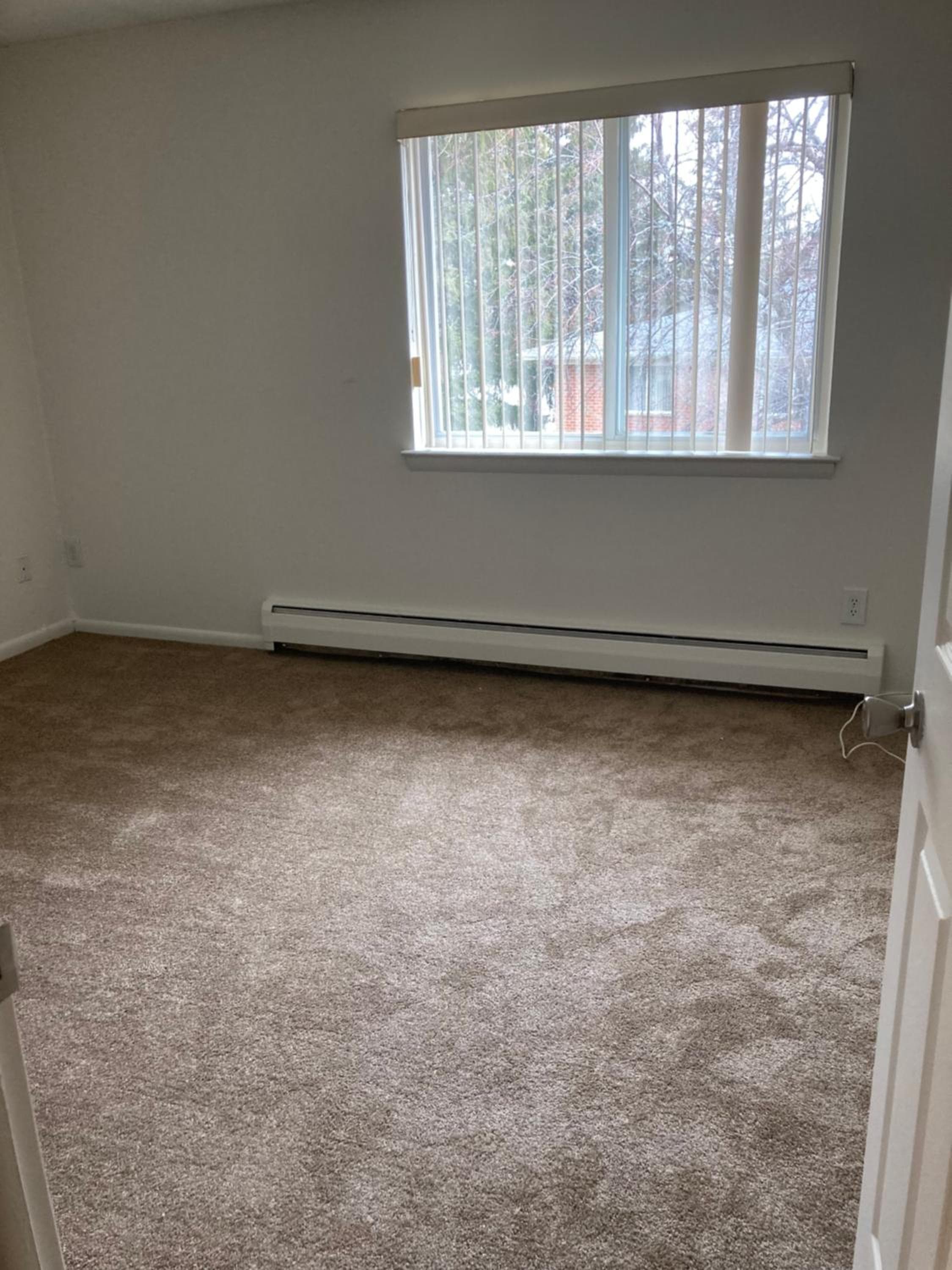Looking for a roommate