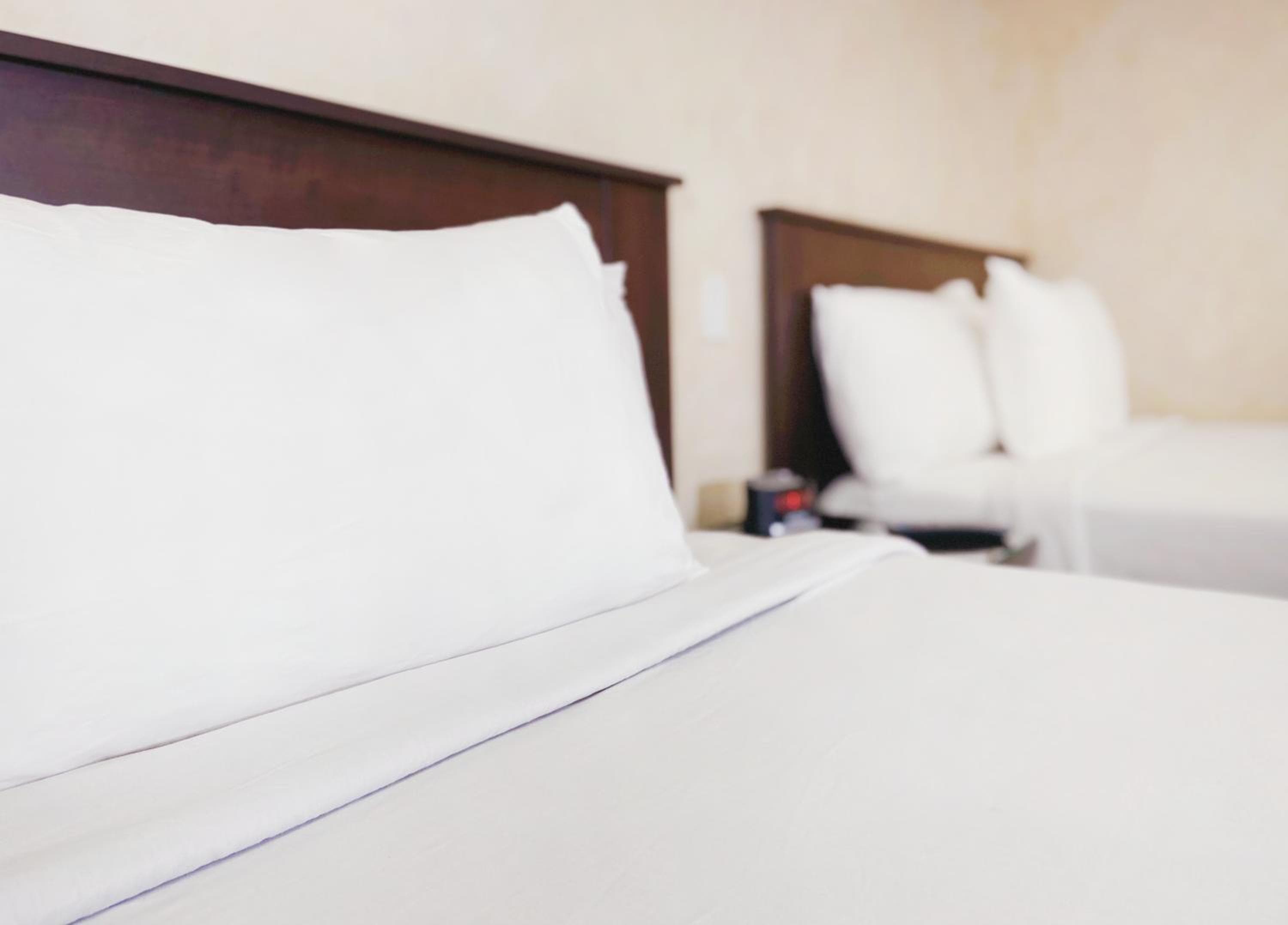 Nite Inn at Universal City - Walking Distance to Universal Studios Hollywood