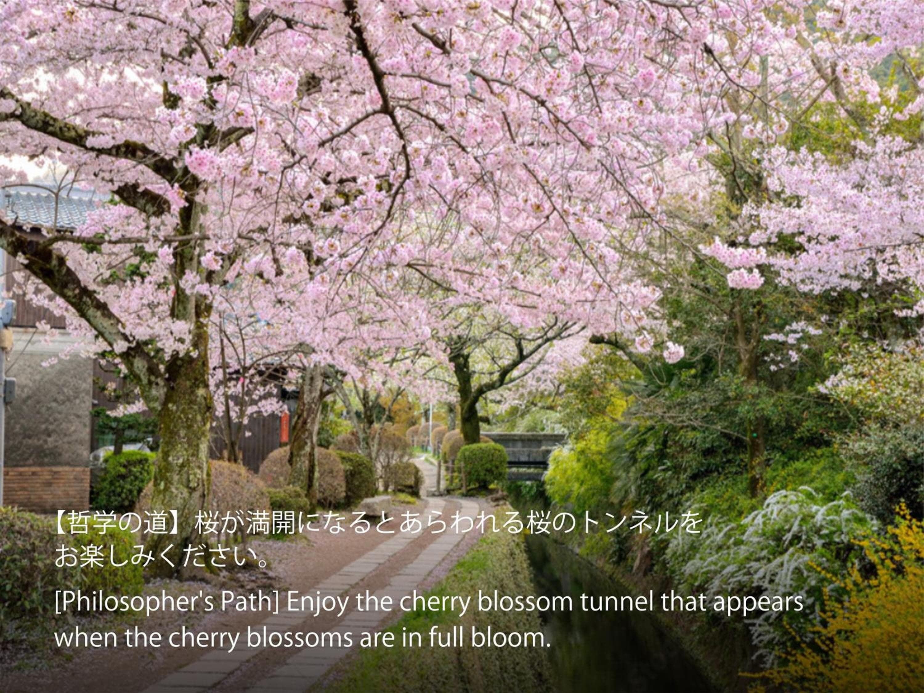Hotel Resol Trinity Kyoto