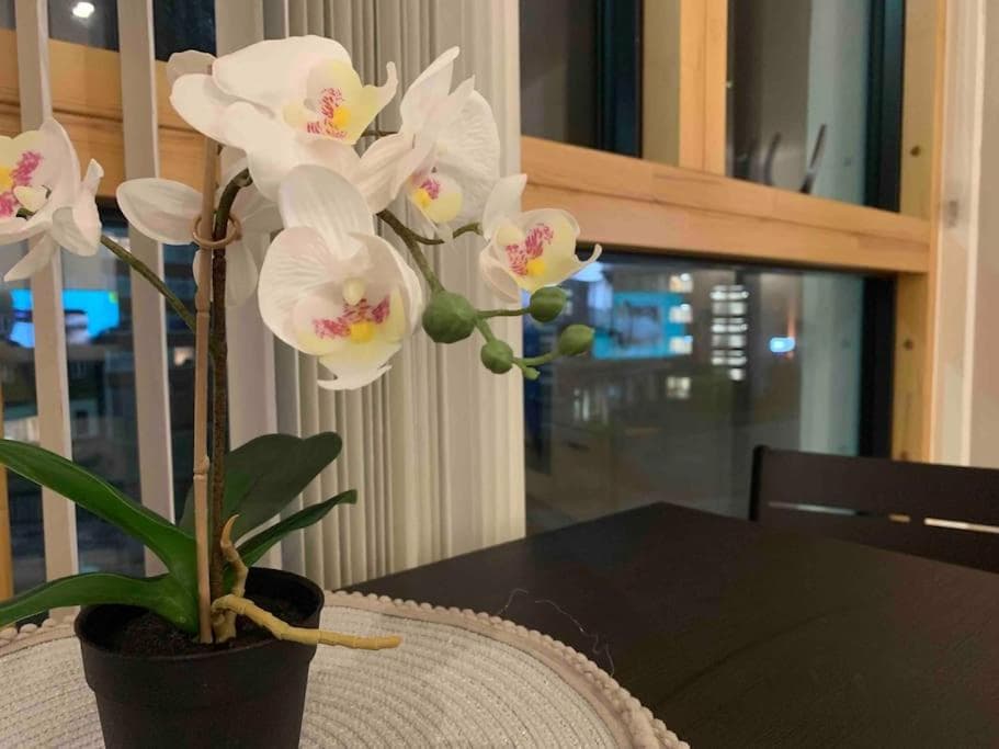 2 Bedrooms Apartment In RG Centre