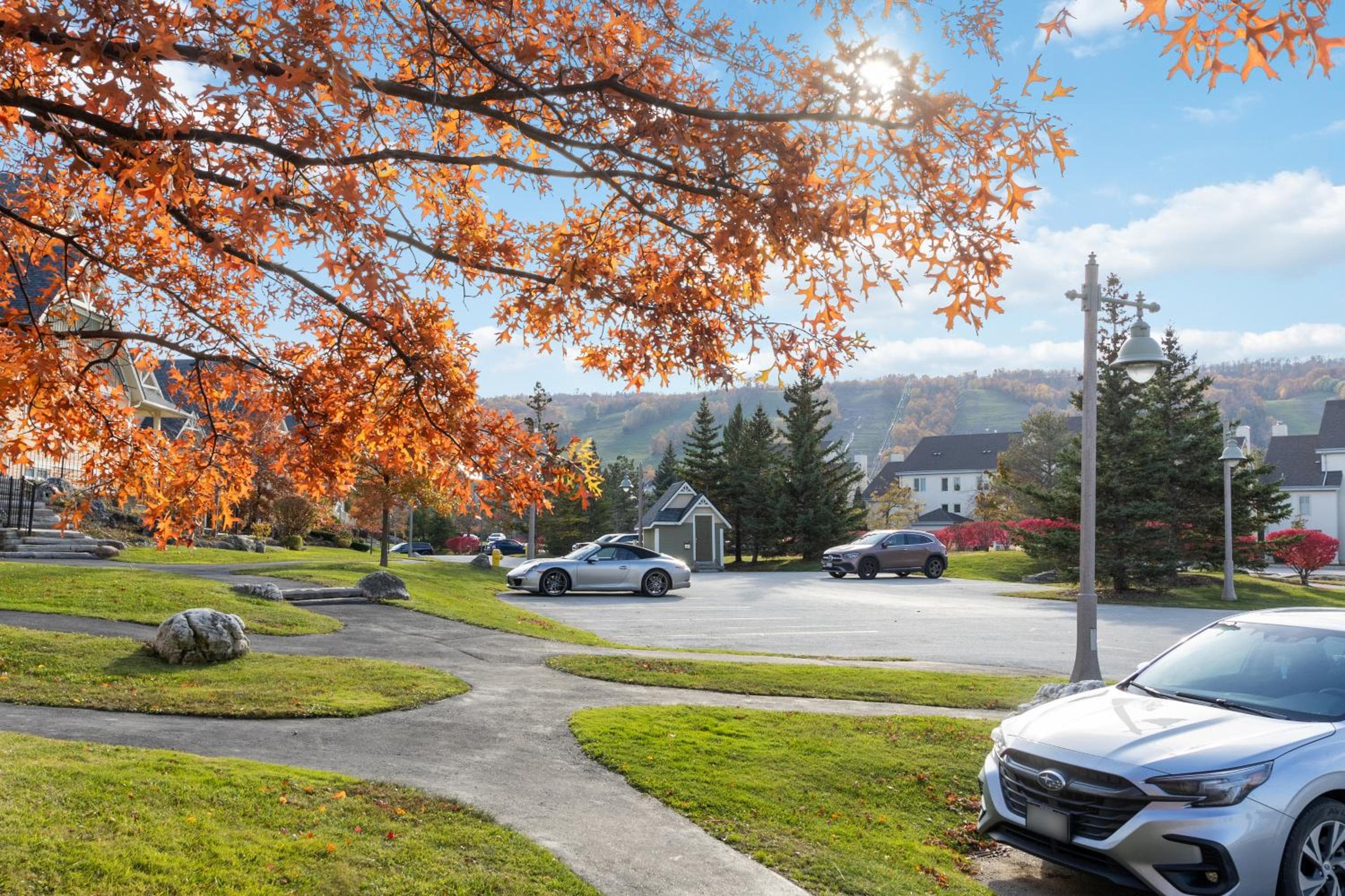 Maple & Mountain at Rivergrass