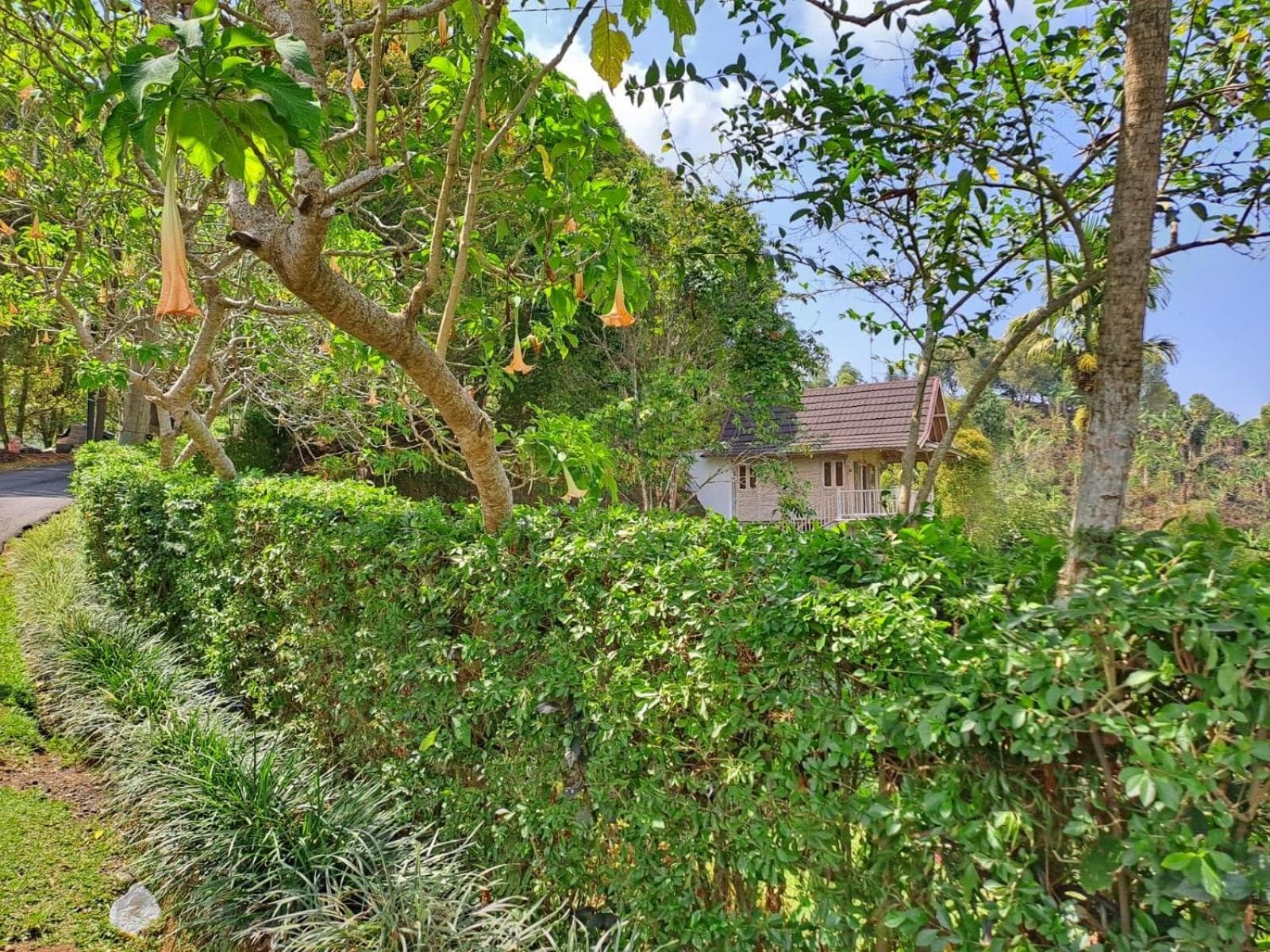 Garden Terrace Bali