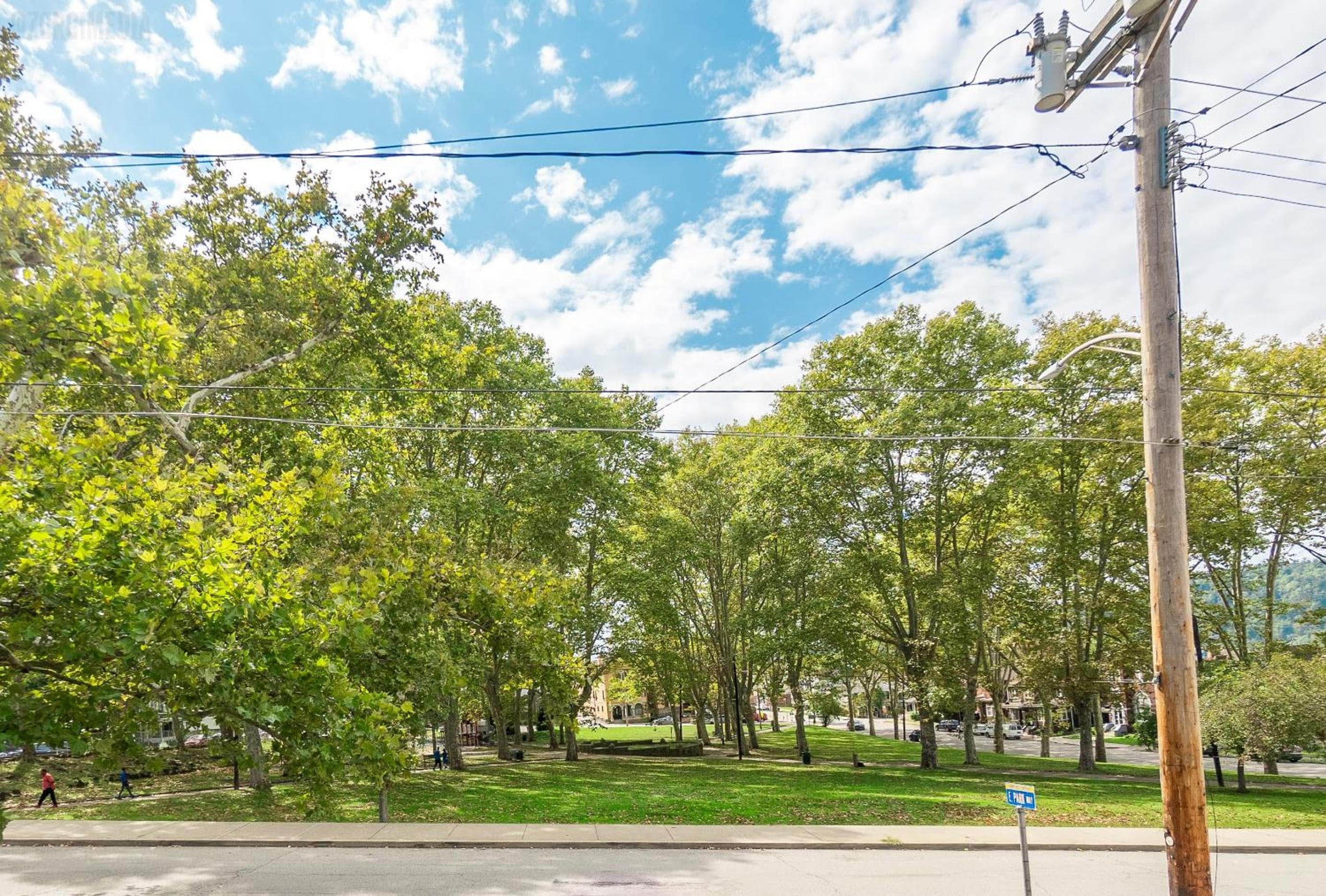 Parkside Paradise Elegant Victorian Home Just Steps from the Park