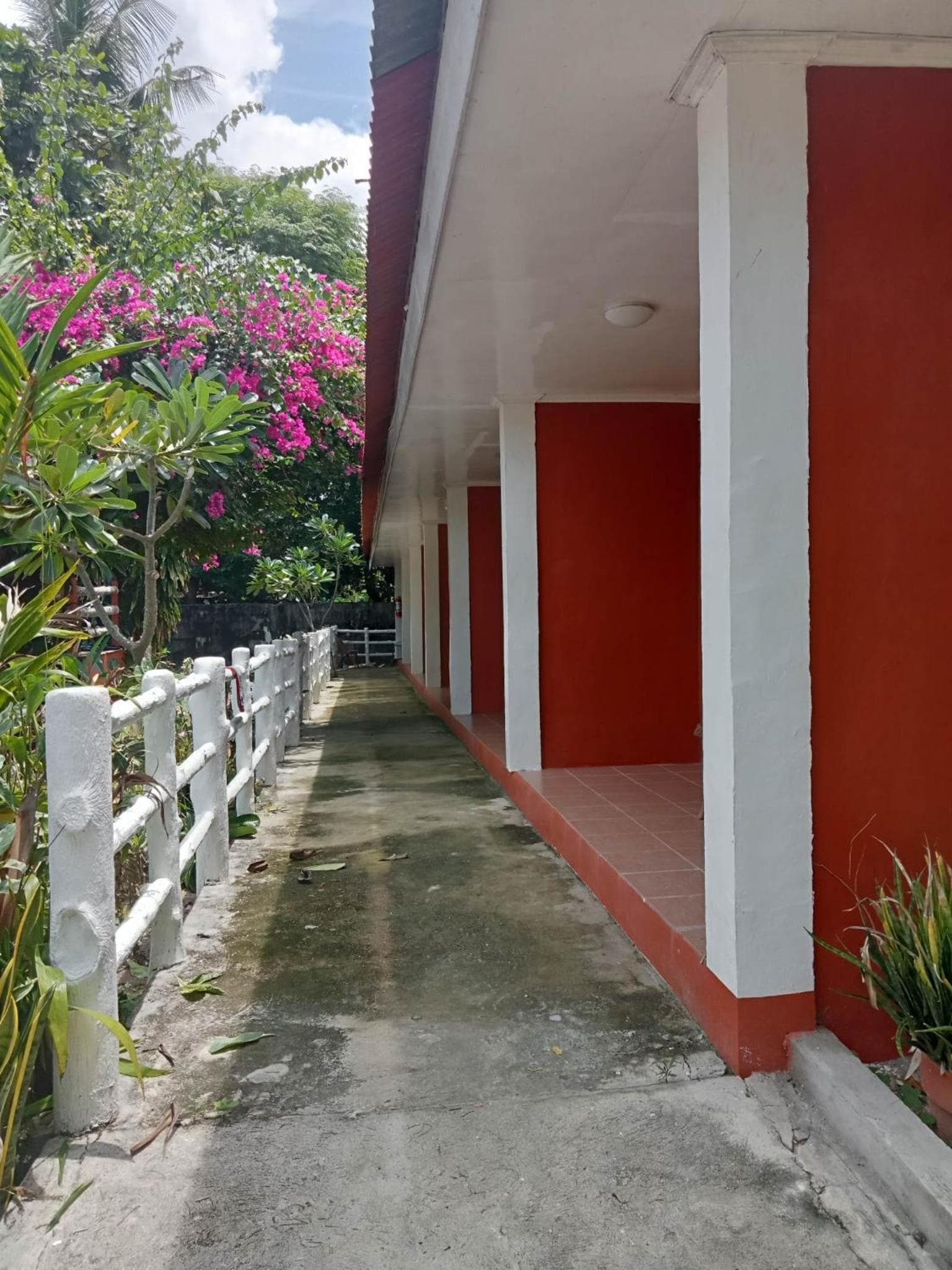 Malapascua Beach and Dive Resort