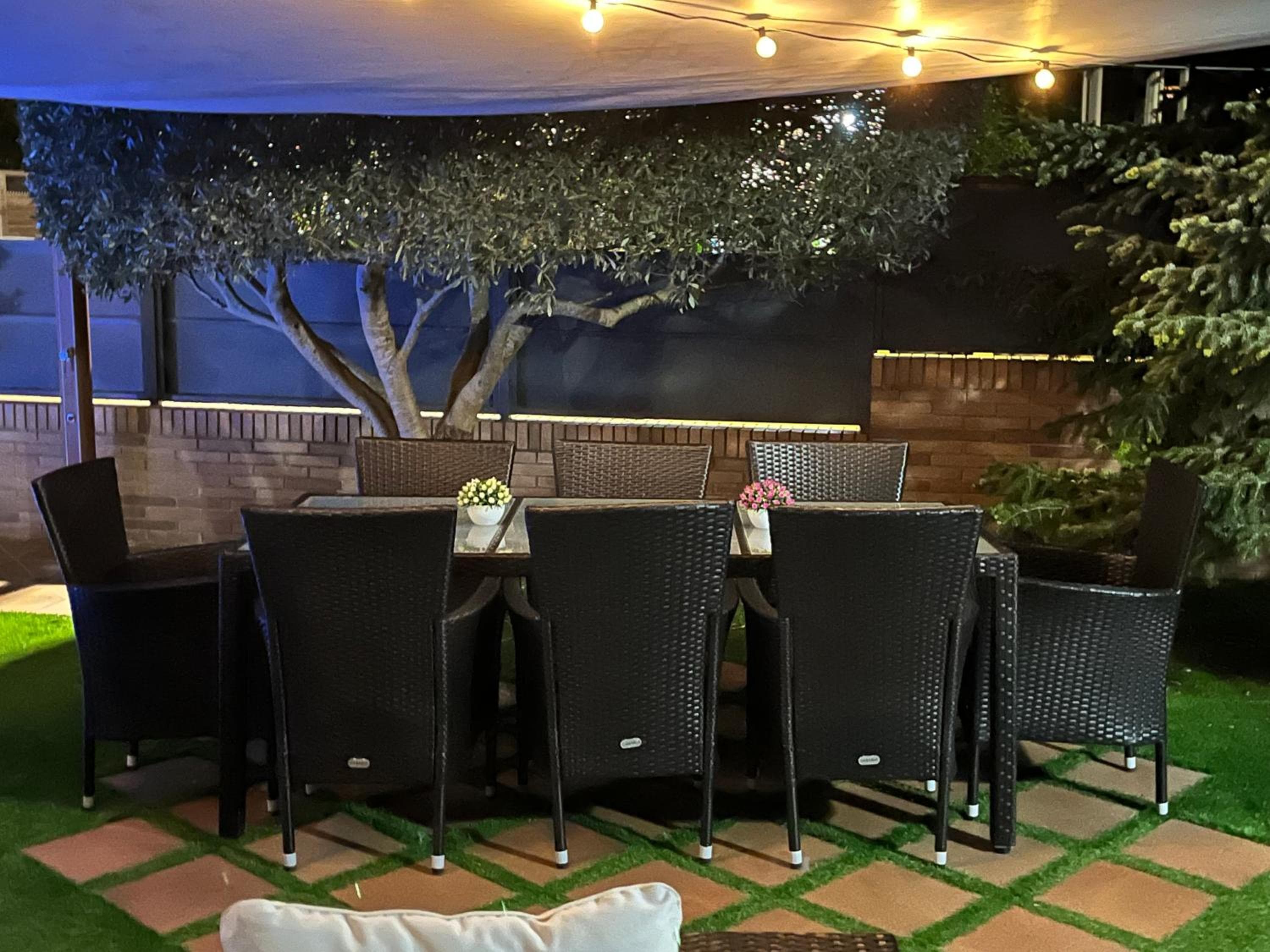 Washingtonia Villa near Sitges