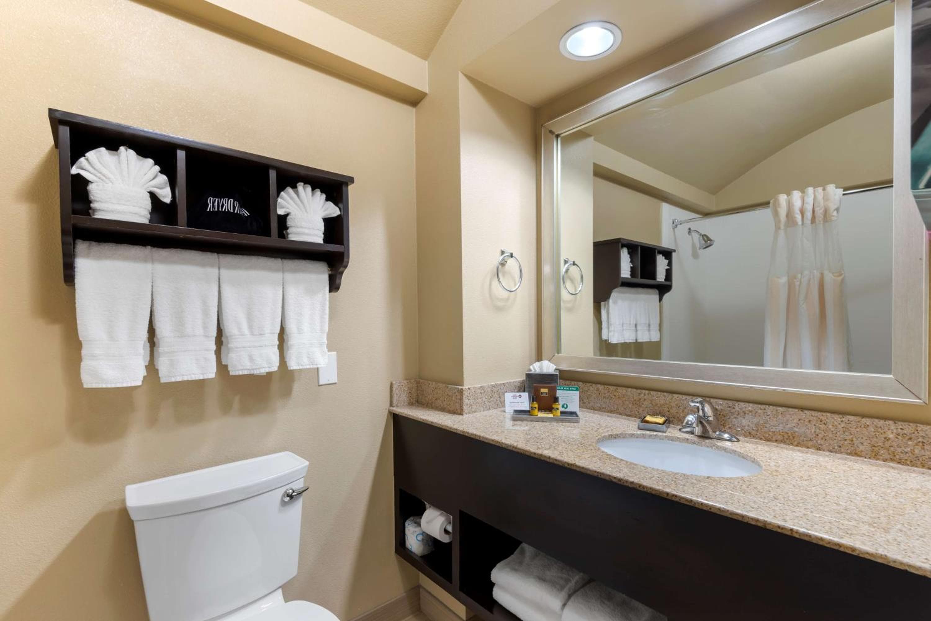 Best Western Plus Arlington North Hotel & Suites