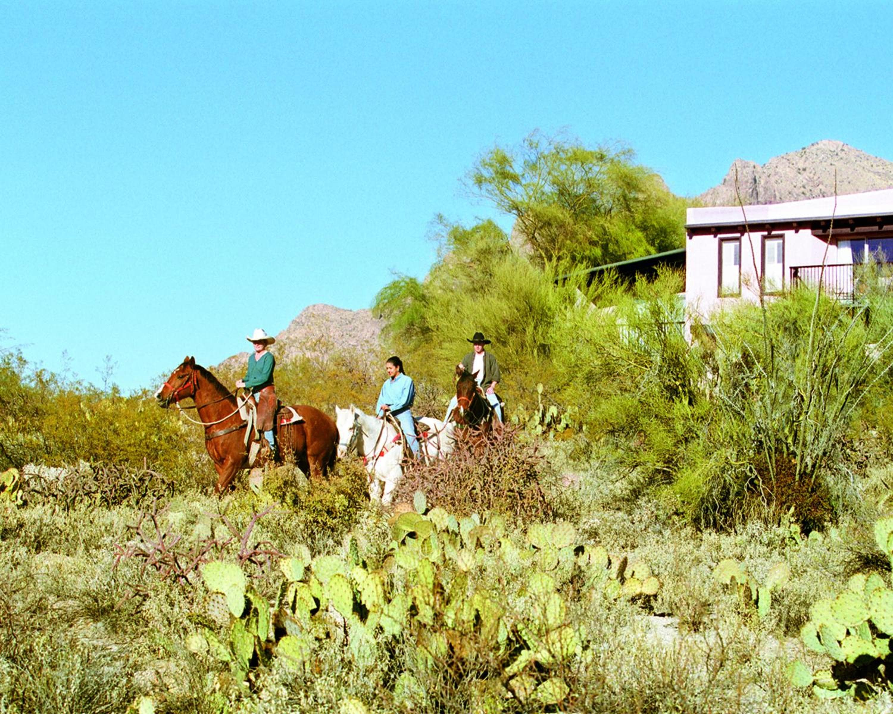 Westward Look Wyndham Grand Resort & Spa