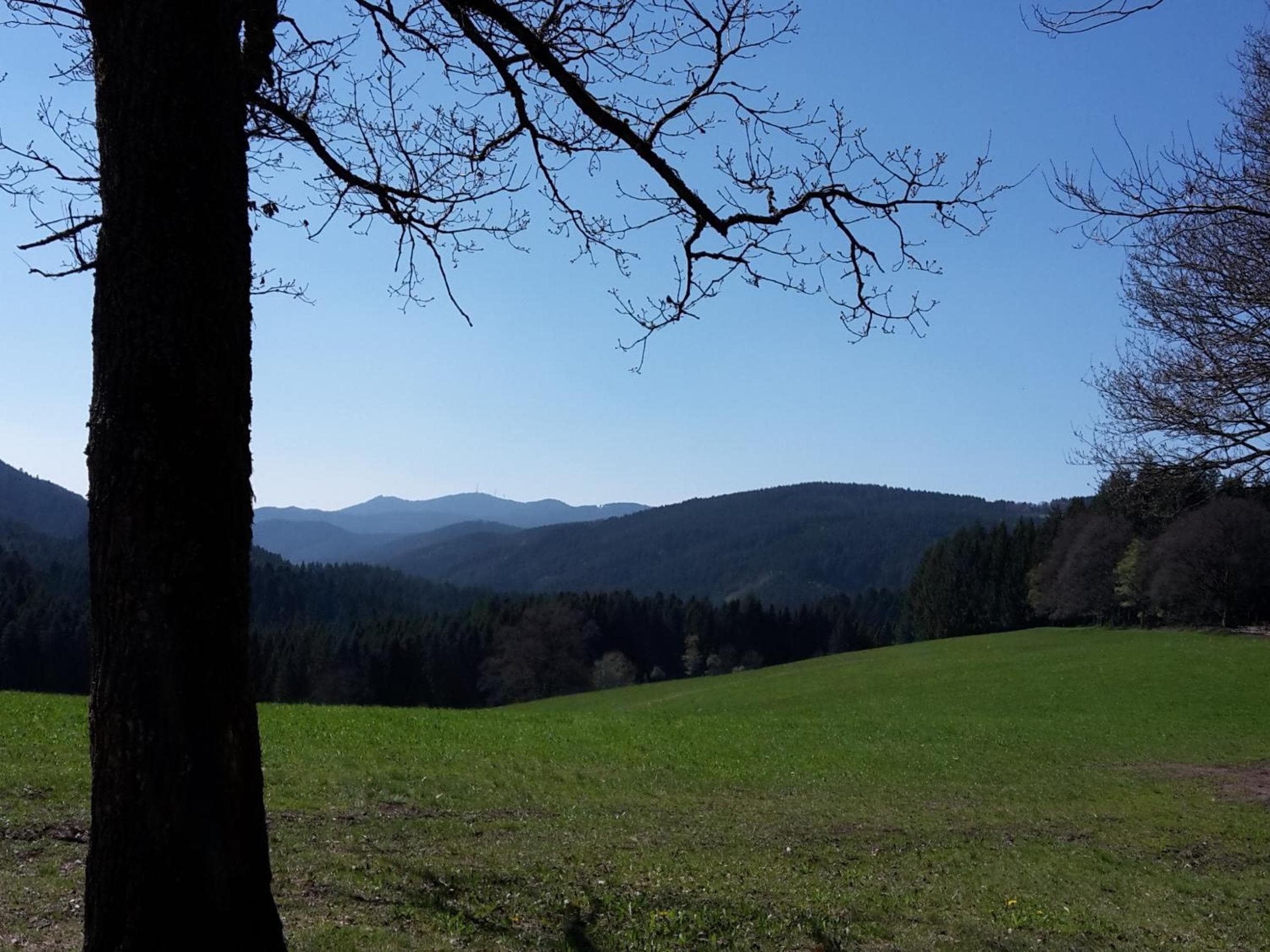 Sulzerhof