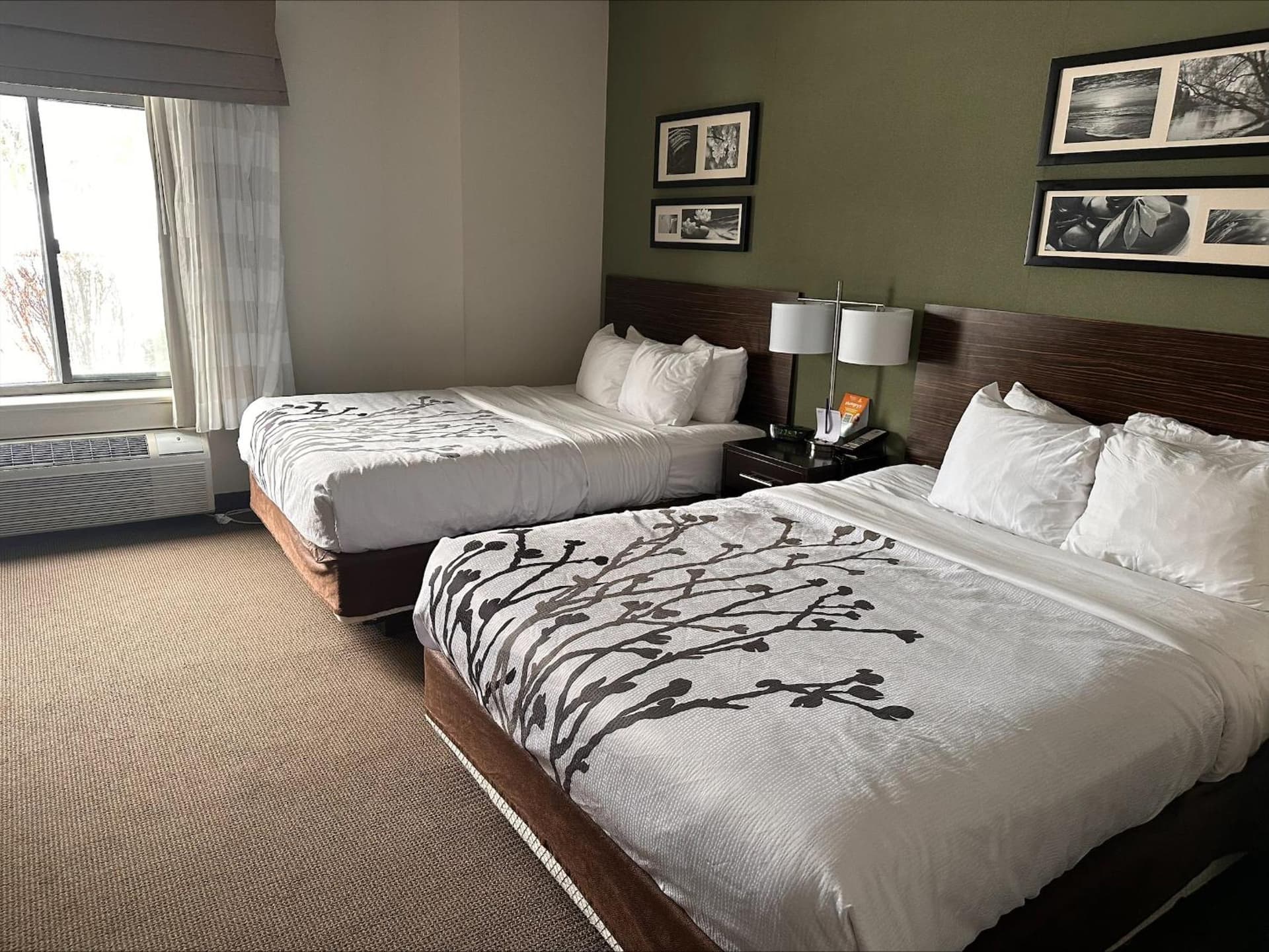 Sleep Inn & Suites Queensbury - Lake George