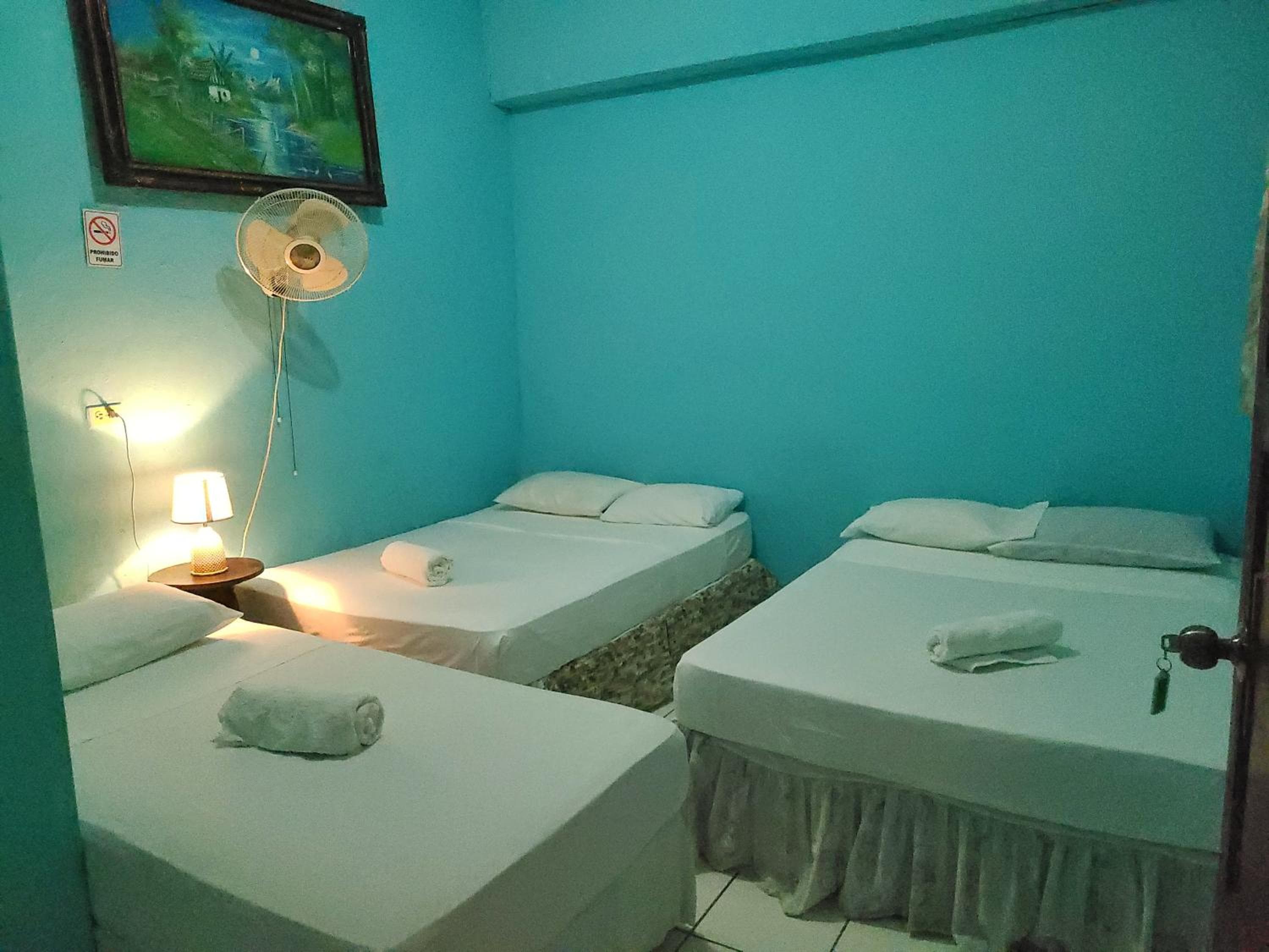 Hostel Rossy