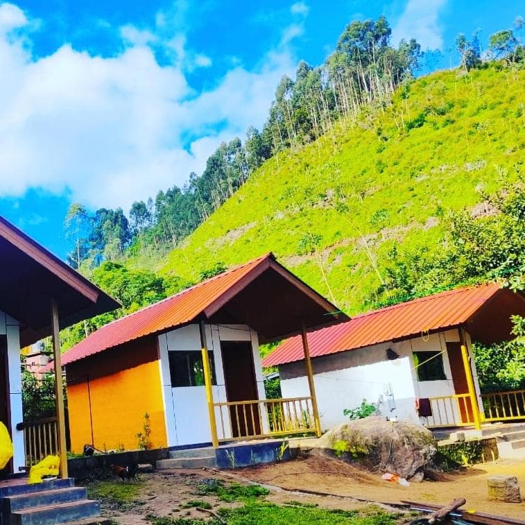 Vattavada Jungle Resort