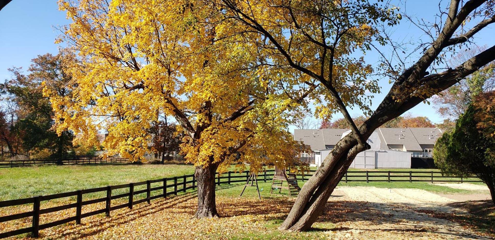 The Rest at Potomac Farms