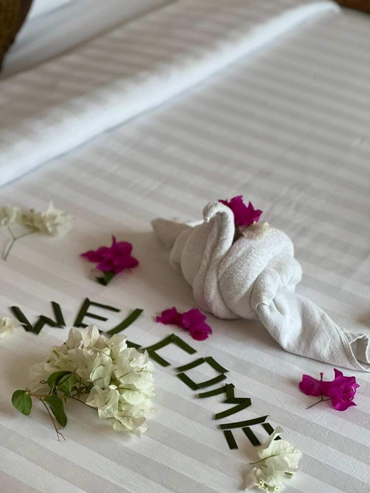 Leisure Boutique Maafushi 维尼家