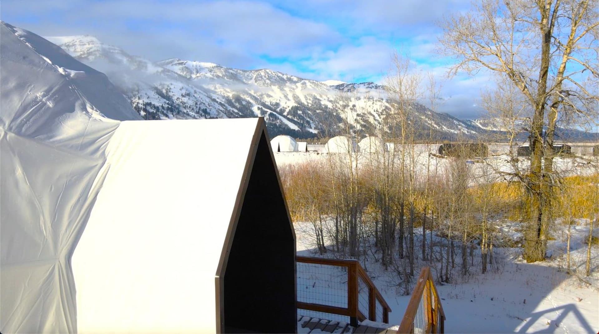 Tammah Jackson Hole