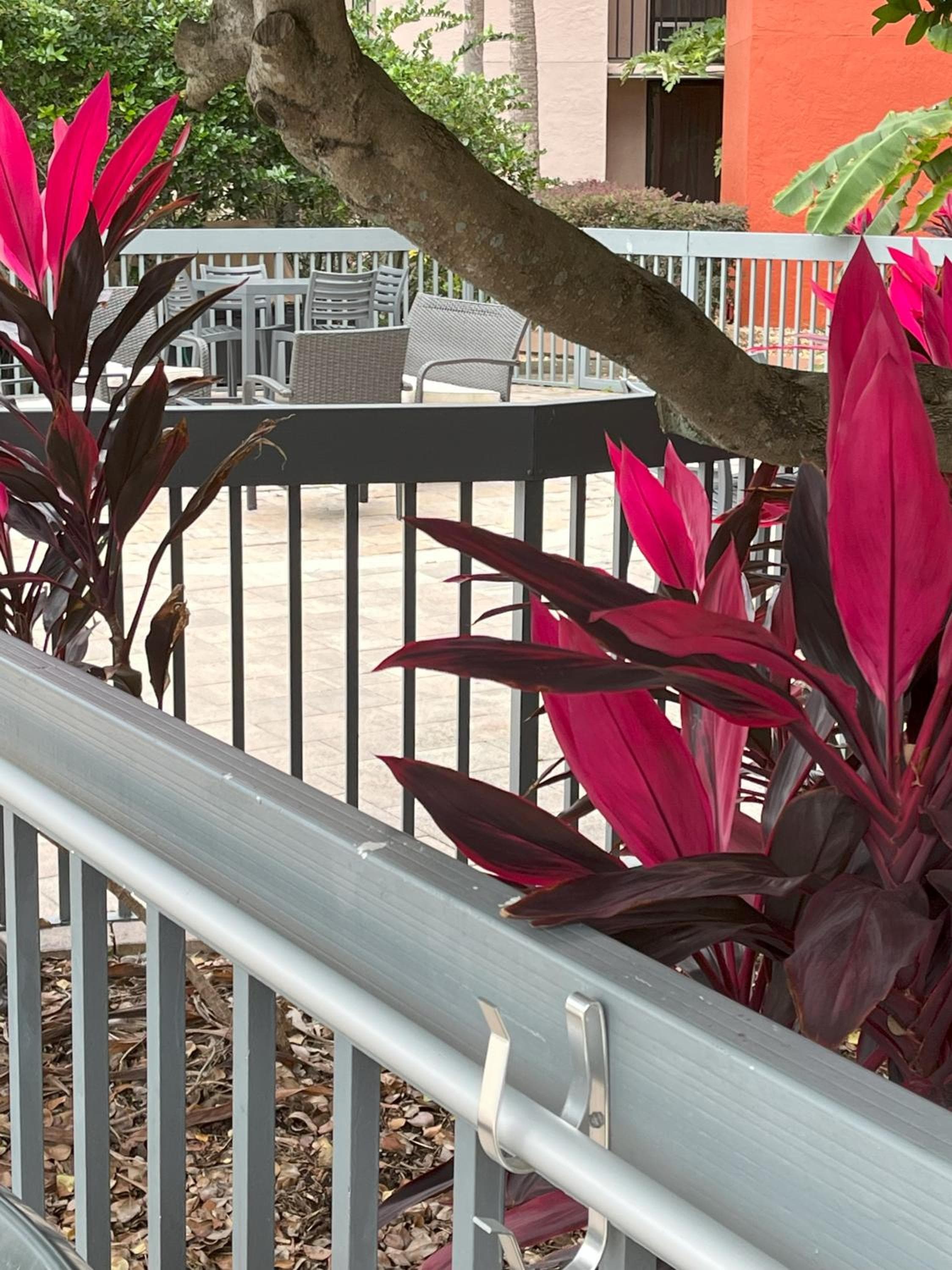 Grand Hotel Orlando at Universal Blvd - Shuttle to Theme Parks