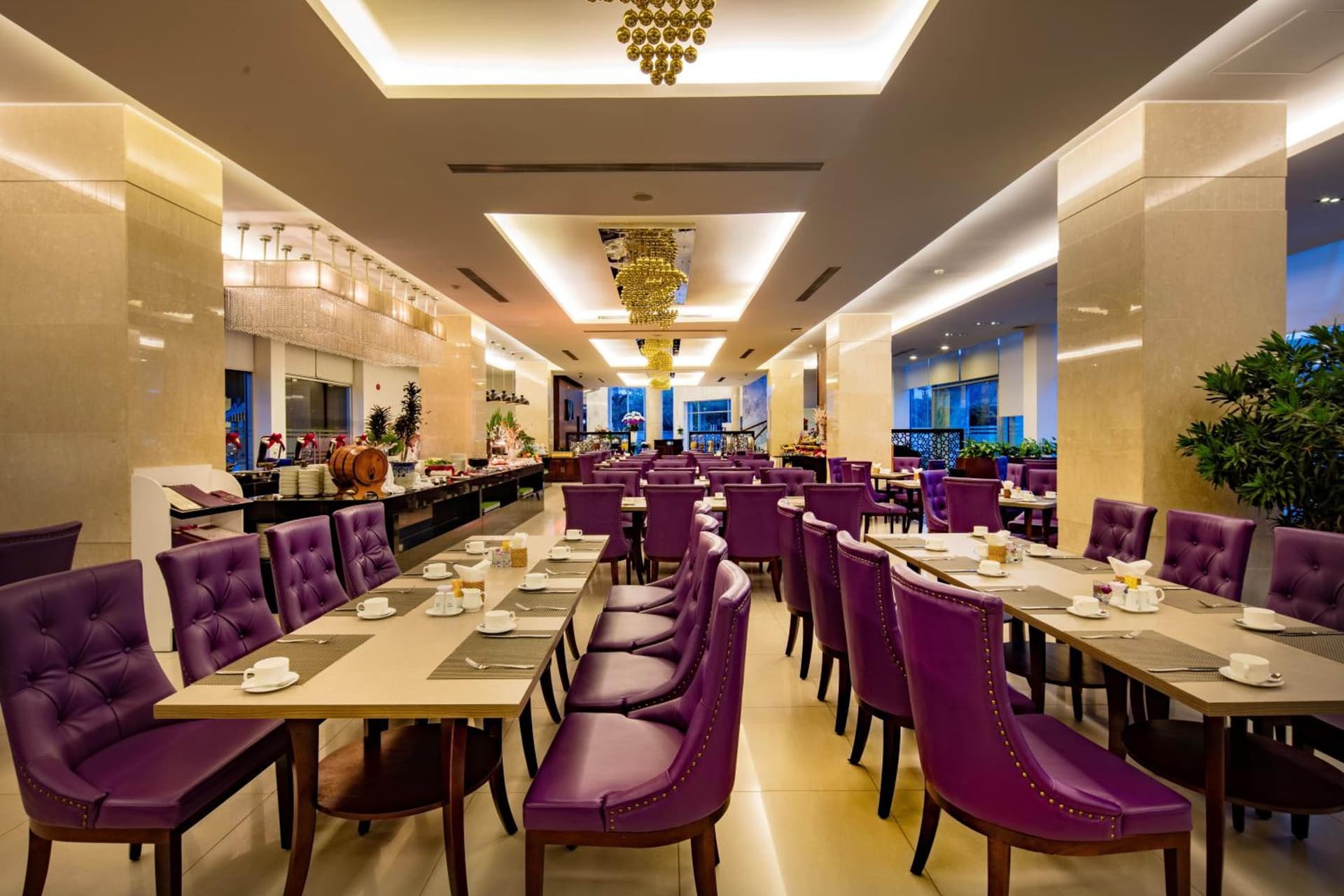 TTC Hotel Michelia