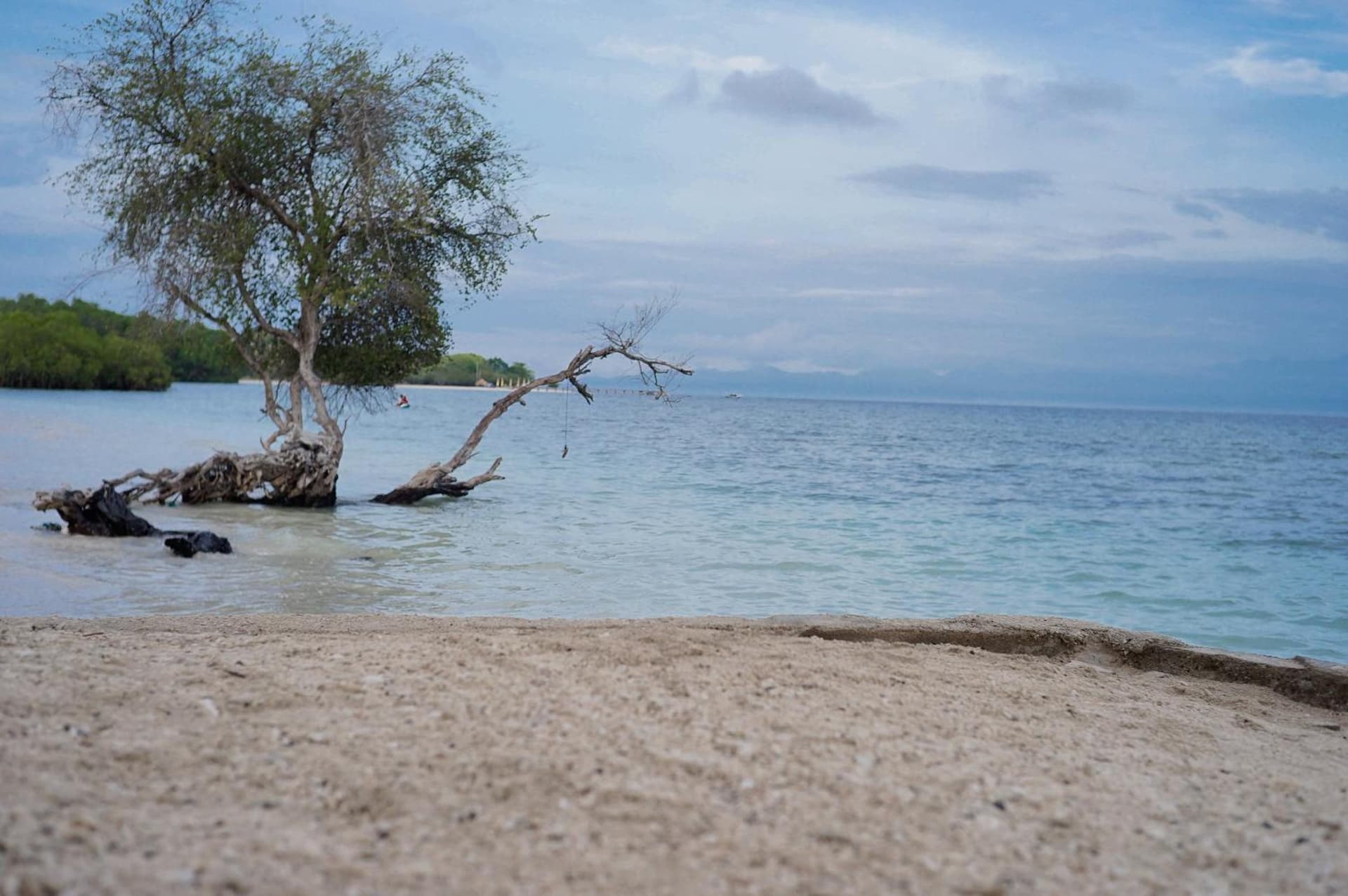 Yut's Inn Flower Paradise Gili Gede