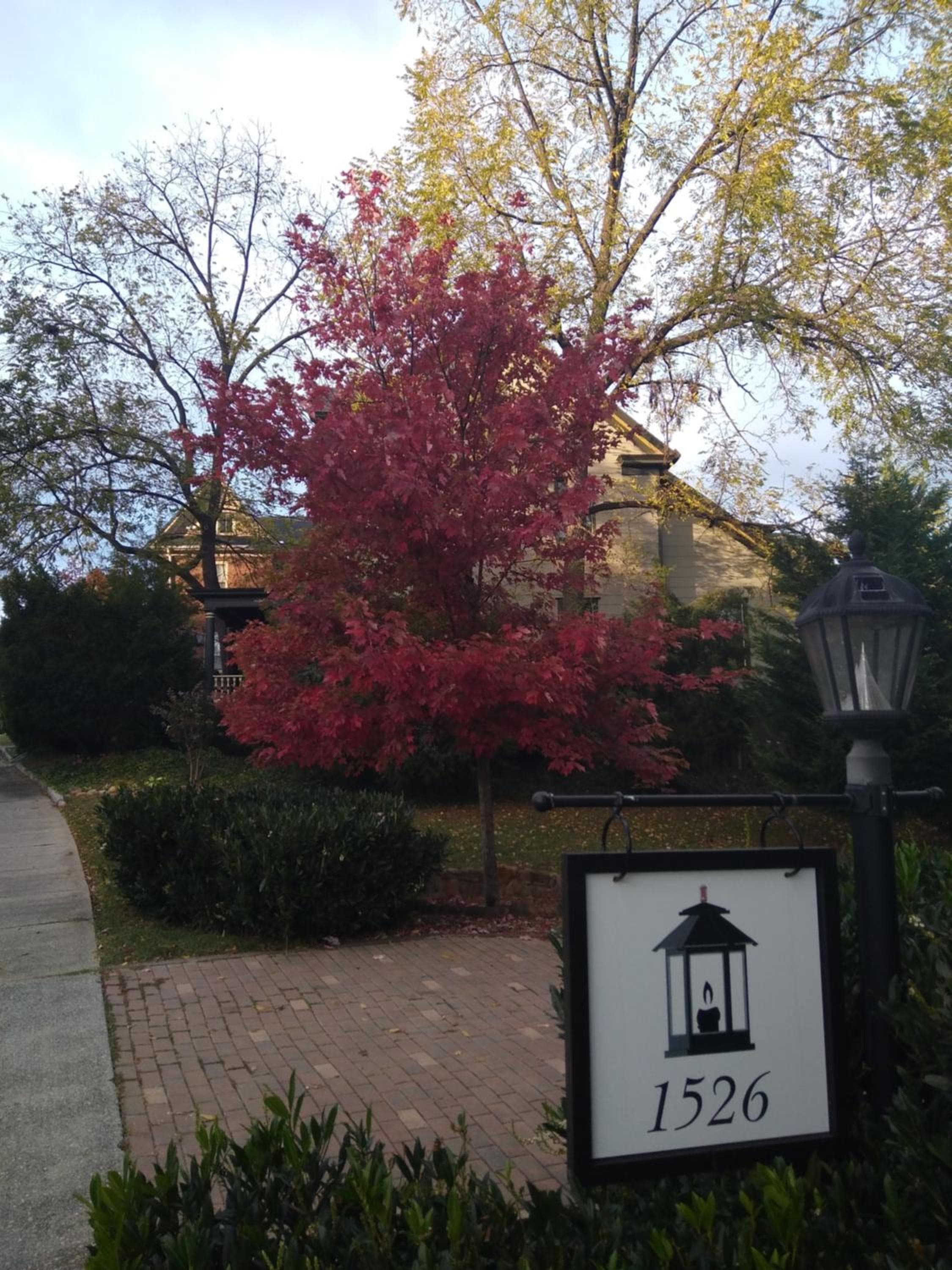 Black Lantern Inn
