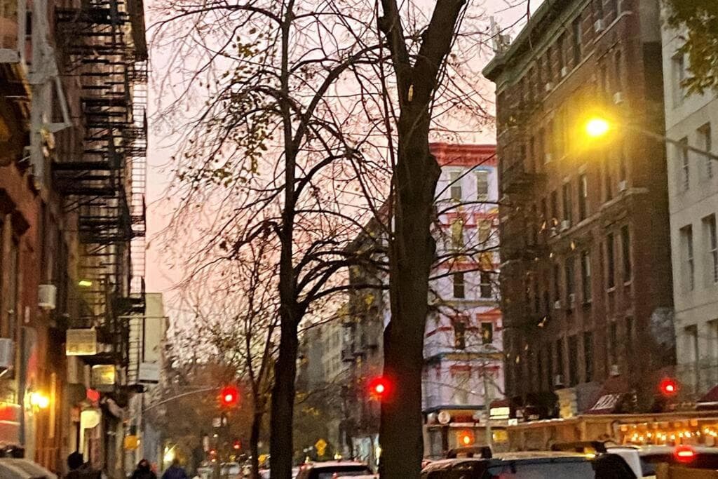 Lovely Full Apartment x East Village (Thompkins Square Park)