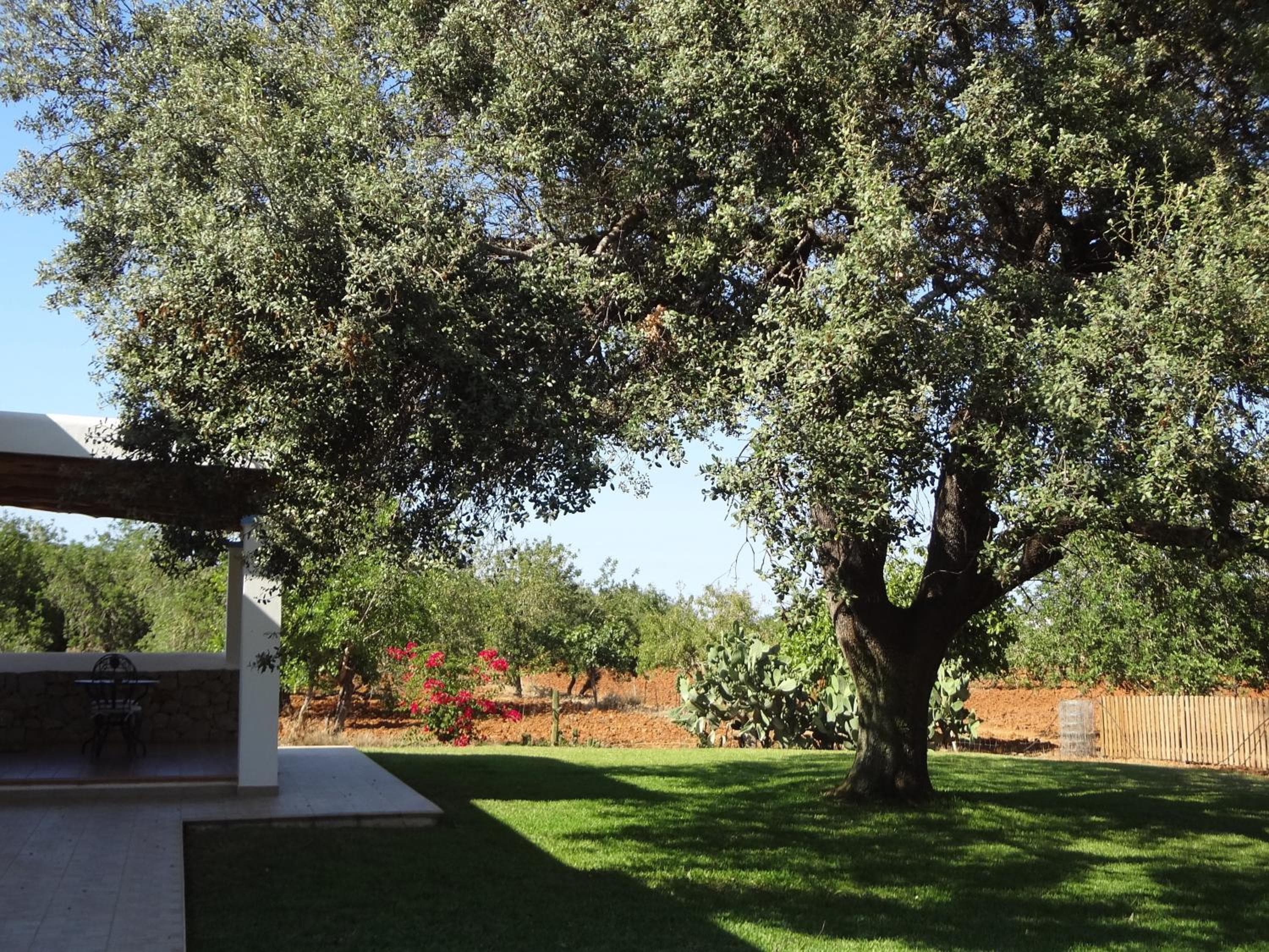Agroturismo Sa Vinya d'en Palerm