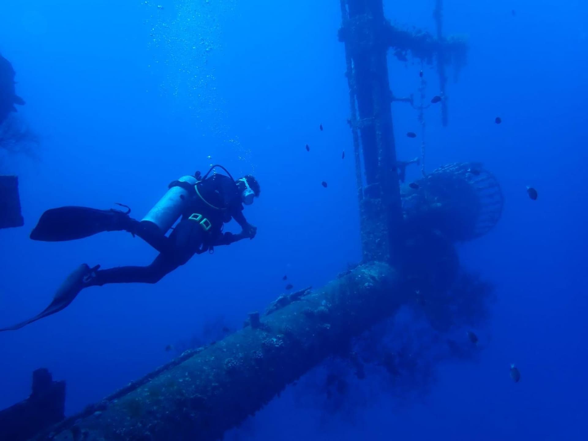 AQABA PRO DIVERS