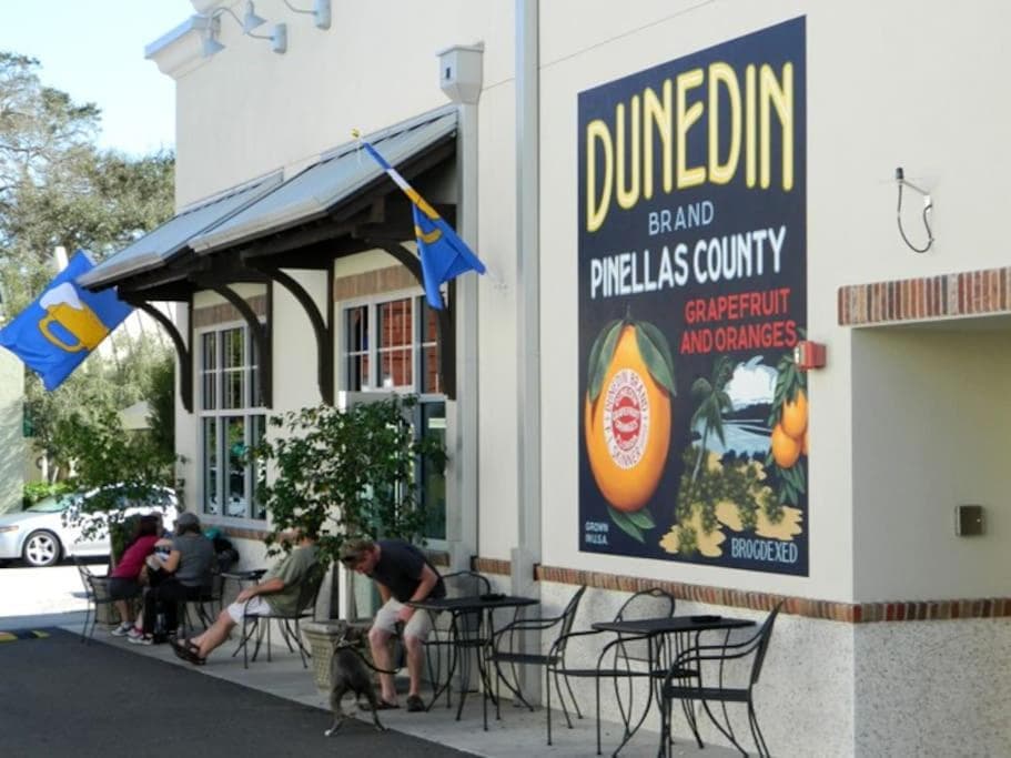 2 Bedroom Apt Overlooking Dunedin Town Square NO KIDS, NO PETS