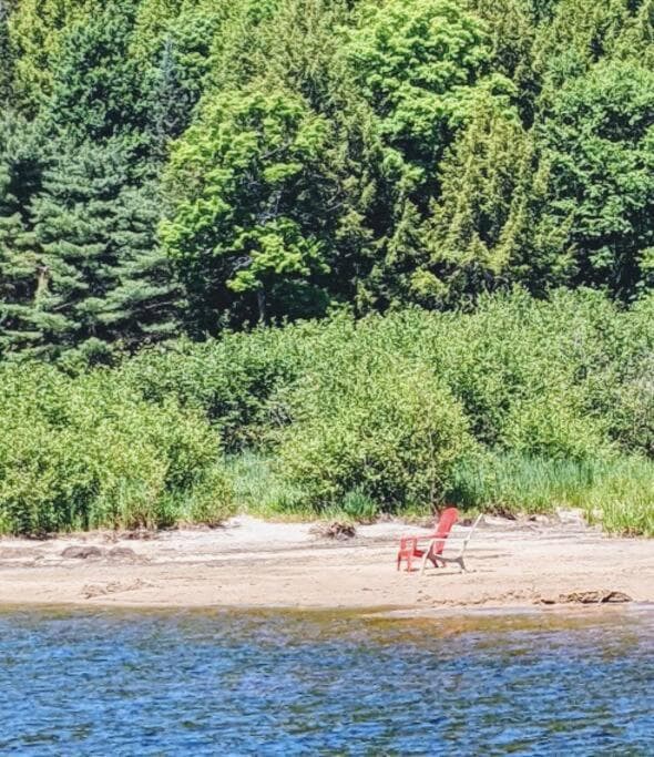 Dog friendly Muskoka. Fun from forest to river.