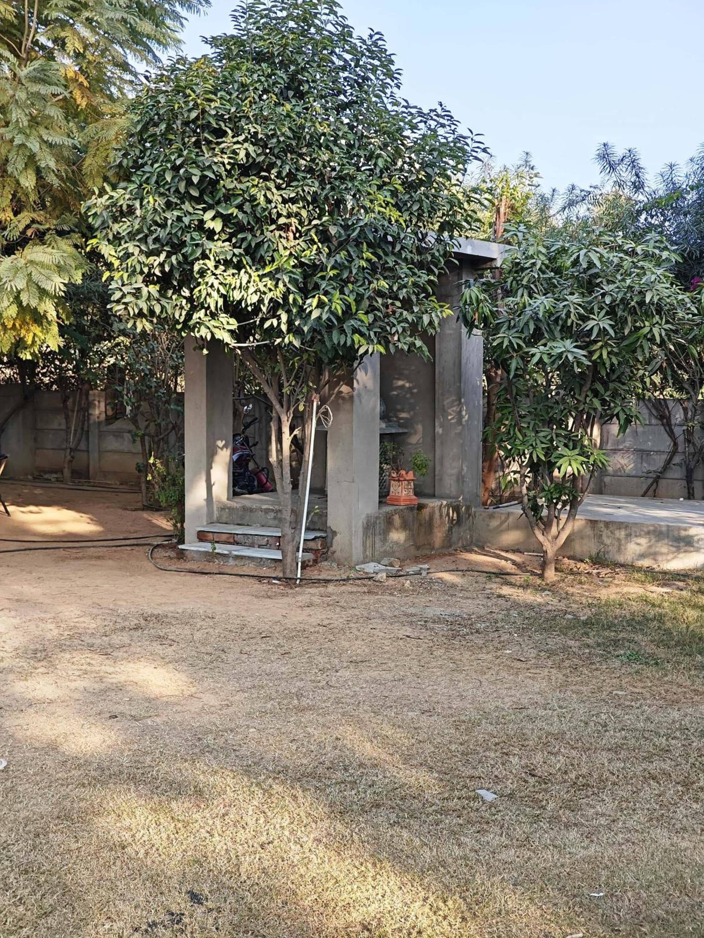 GiriSadan Organic Retreat & Experiences